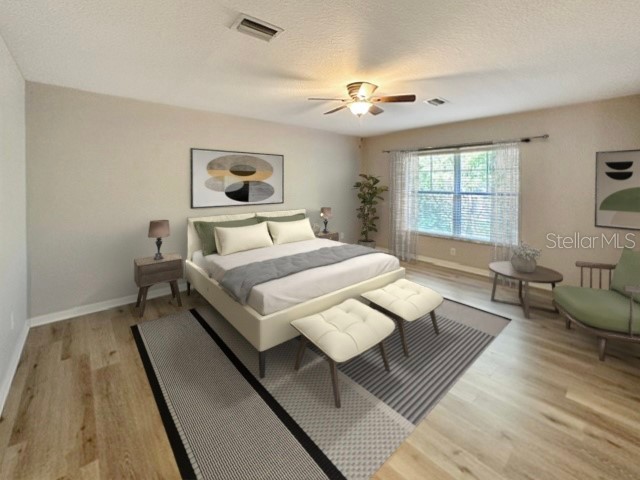 1506 Hillview Lane Tarpon Springs FL 34689 TB8484381 image30