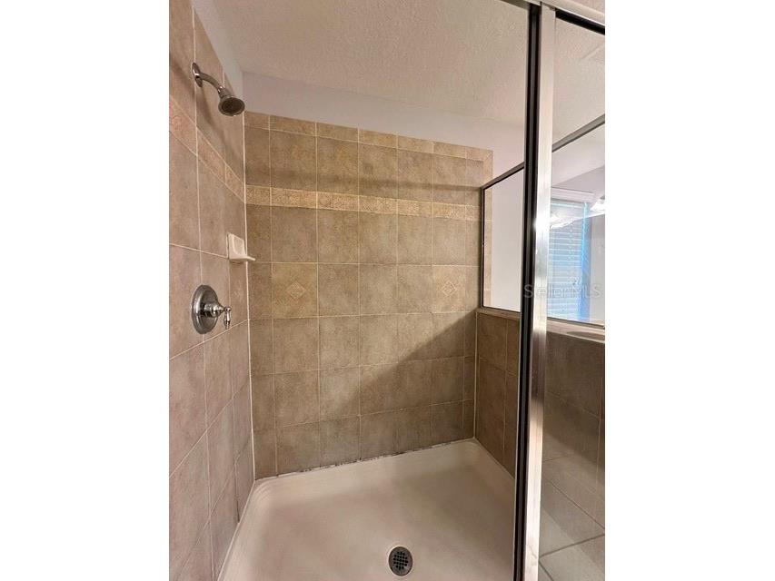 1506 Hillview Lane Tarpon Springs FL 34689 TB8484381 image32