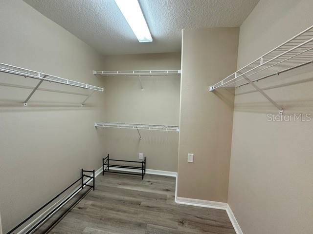 1506 Hillview Lane Tarpon Springs FL 34689 TB8484381 image33