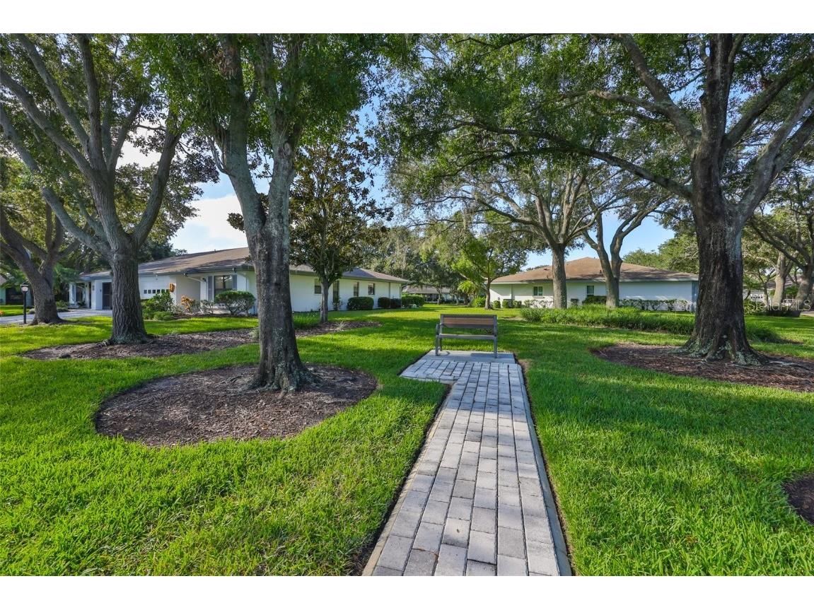 1506 Laughton Place #307 Sun City Center FL 33573 TB8432294 image38