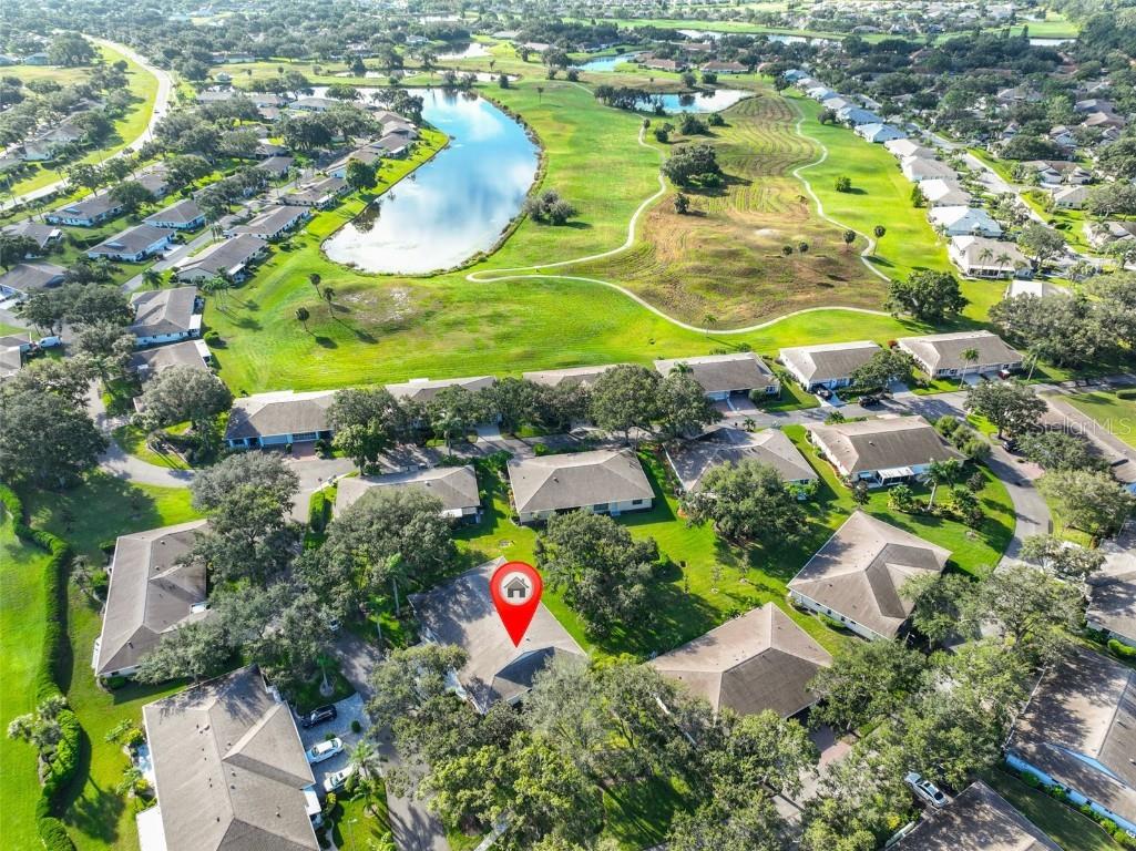 1506 Laughton Place #307 Sun City Center FL 33573 TB8432294 image39