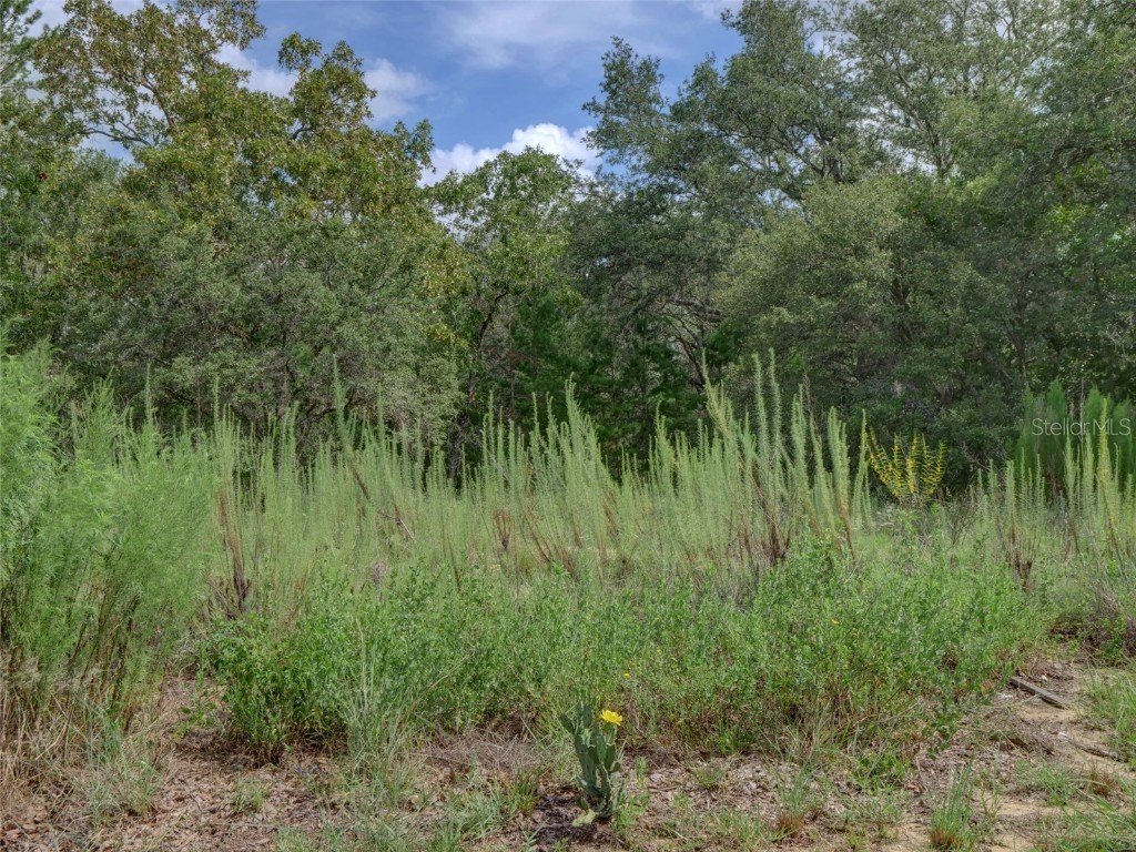 1506 N Hampton Drive Davenport FL 33897 G5100517 image37