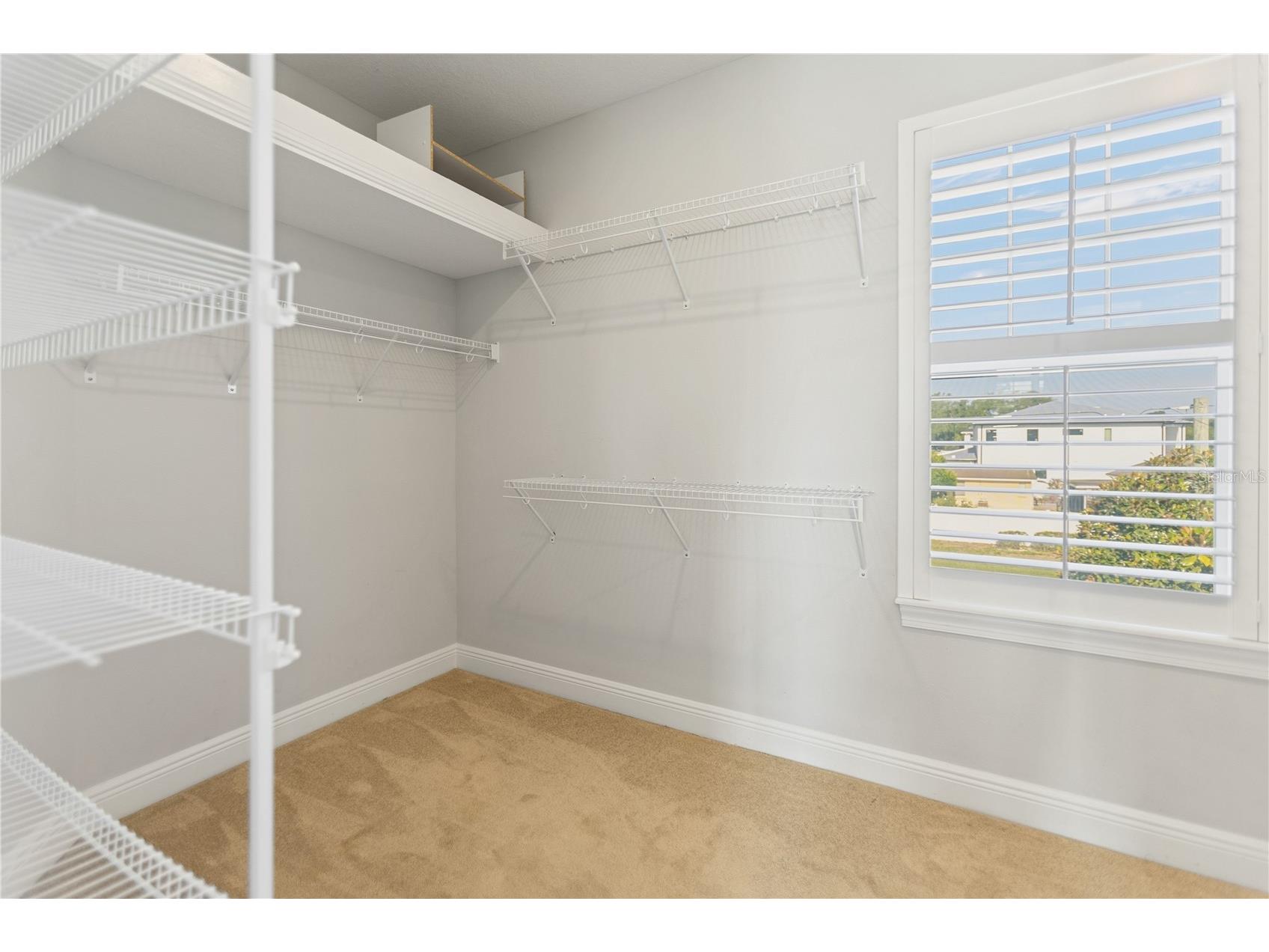1506 S Clark Avenue Tampa FL 33629 TB8506421 image42