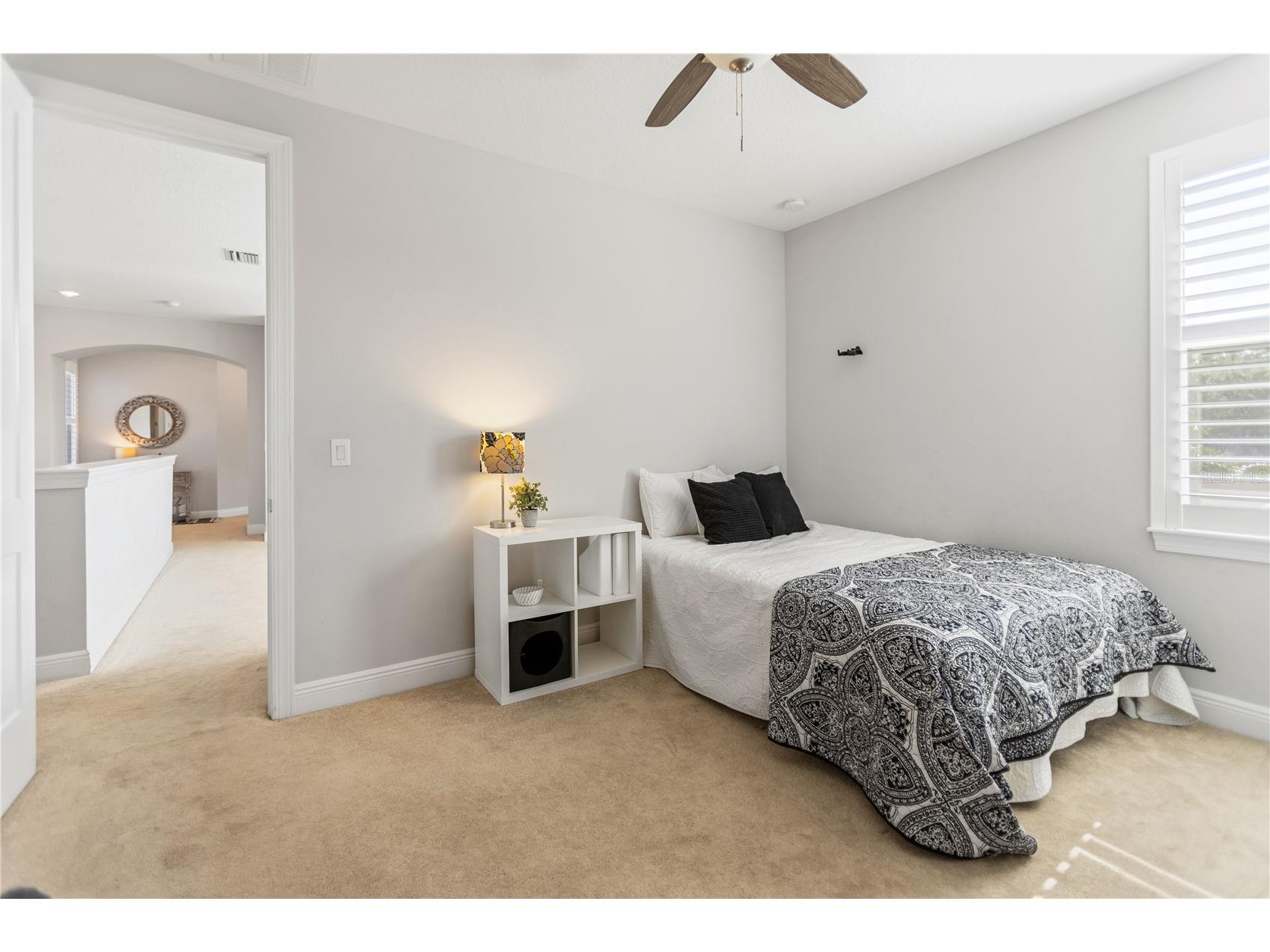 1506 S Clark Avenue Tampa FL 33629 TB8506421 image49