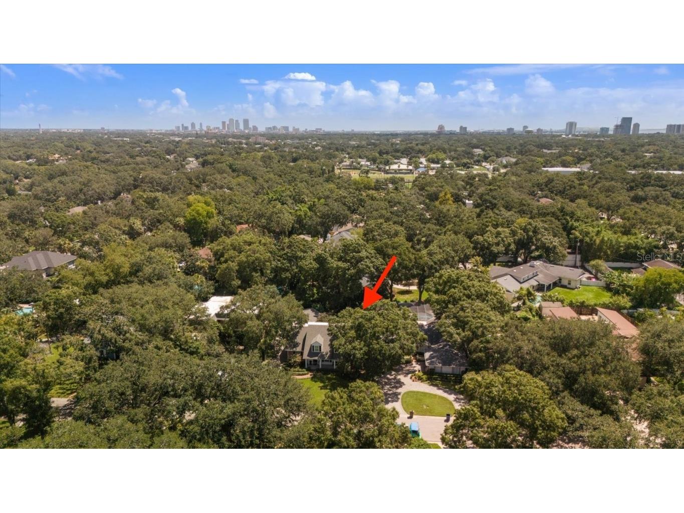 1506 S Sheridan Forest Drive Tampa FL 33629 T3553233 image33