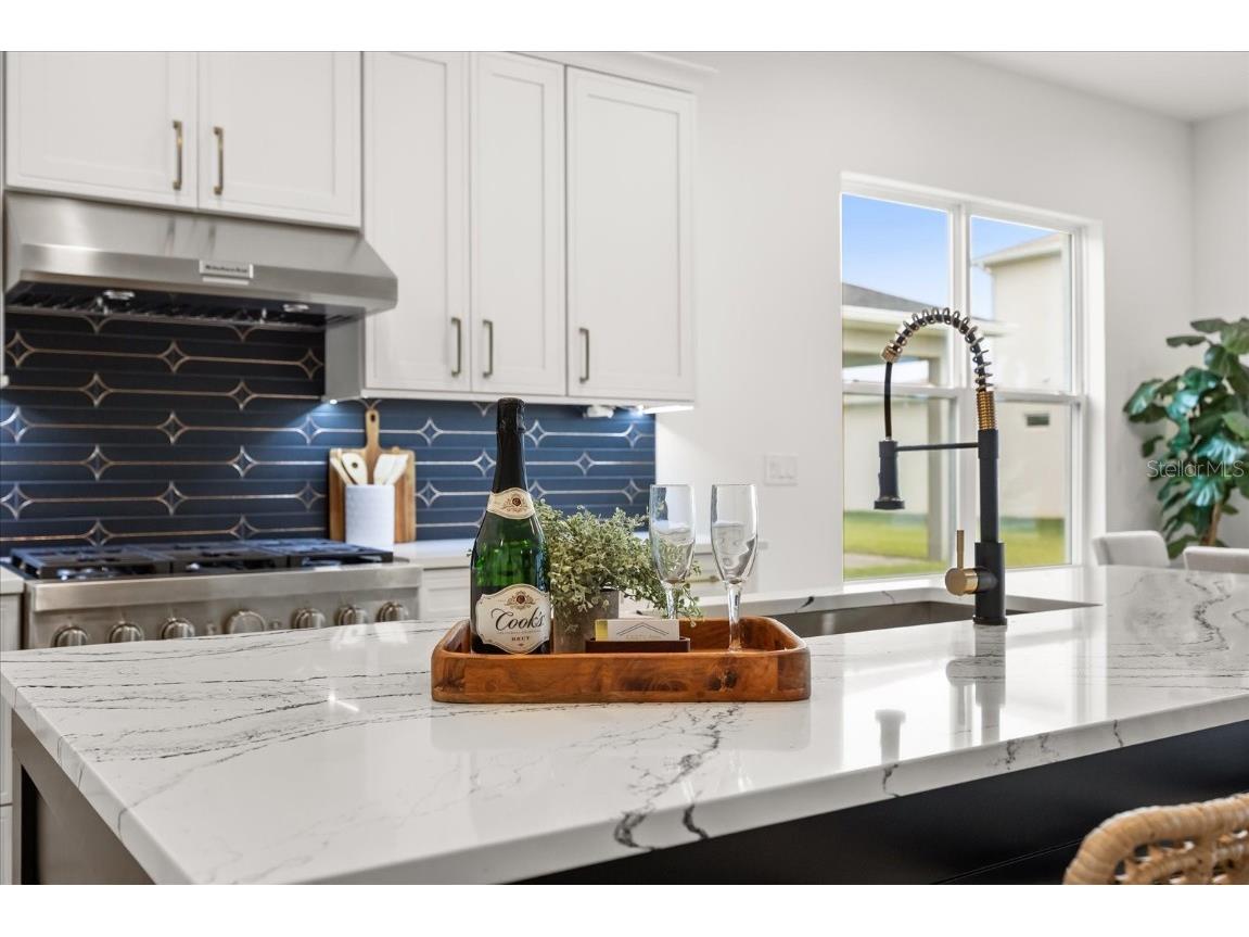 15060 Brodie Lane Winter Garden FL 34787 O6292102 image15