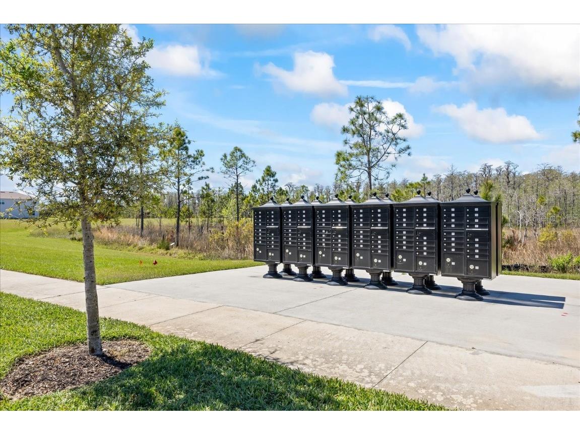 15060 Brodie Lane Winter Garden FL 34787 O6292102 image66