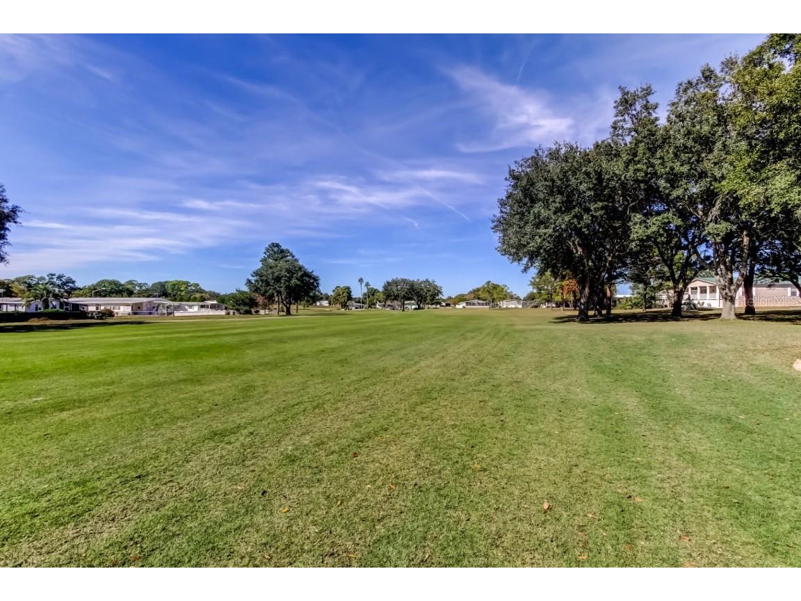 15061 Brookridge Boulevard Brooksville FL 34613 W7880747 image53