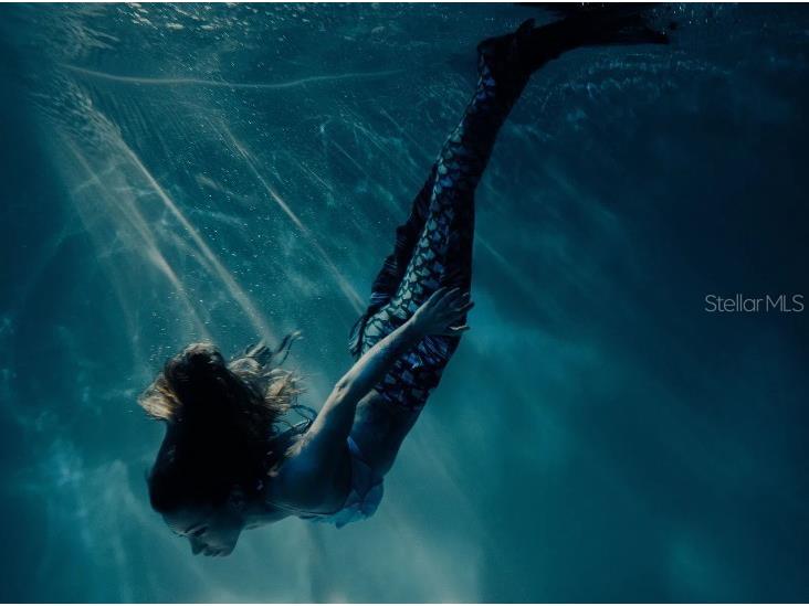 15061 Hummingbird Road Weeki Wachee FL 34614 O6370320 image21