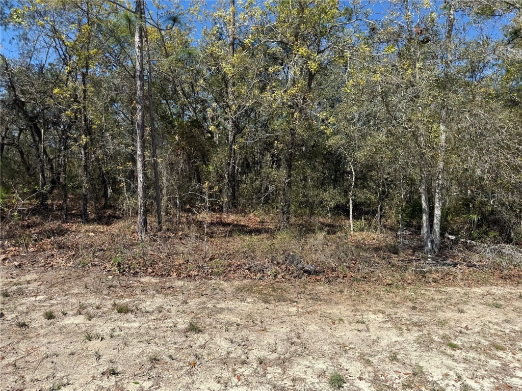 15061 Hummingbird Road Weeki Wachee FL 34614 TB8363129 image1