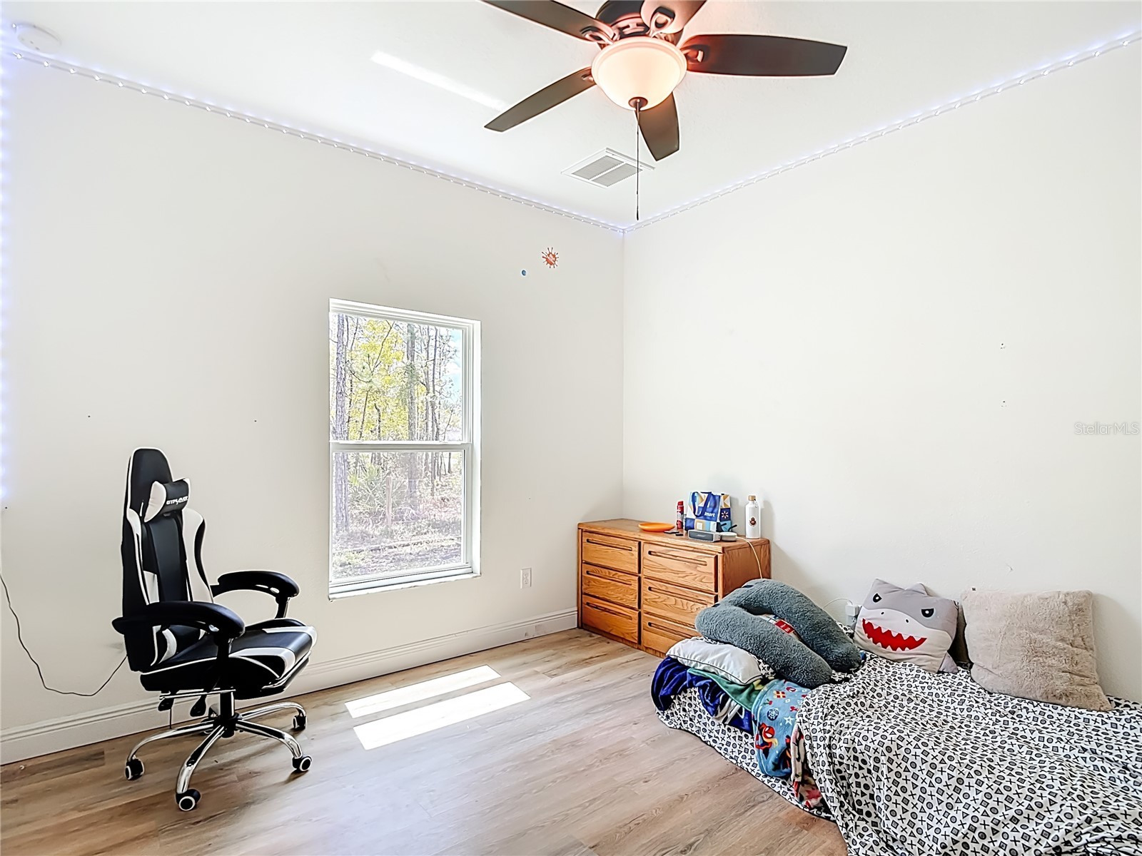 15062 Mount Ivy Road Weeki Wachee FL 34614 W7884324 image47