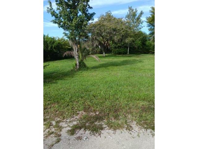 15064 Balm Road Wimauma FL 33598 T3505717 image1