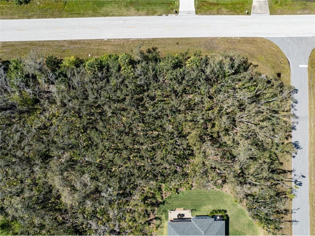 15067 Depot Terrace Port Charlotte FL 33953 N6132325 image7