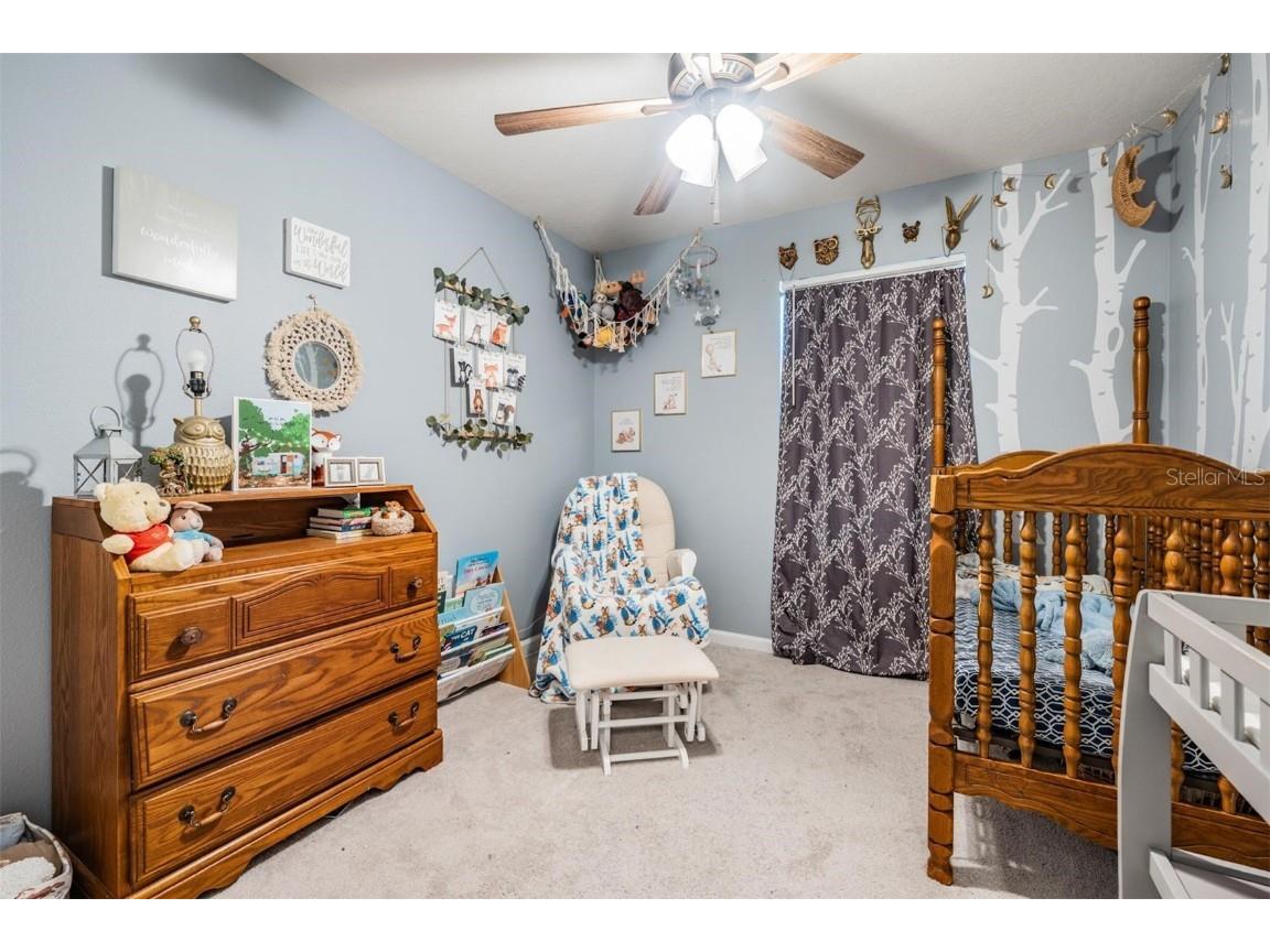 15068 Caravan Avenue Odessa FL 33556 W7880110 image19