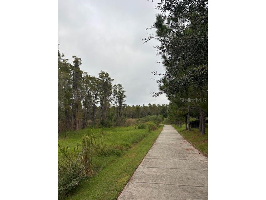 15068 Caravan Avenue Odessa FL 33556 W7880110 image32