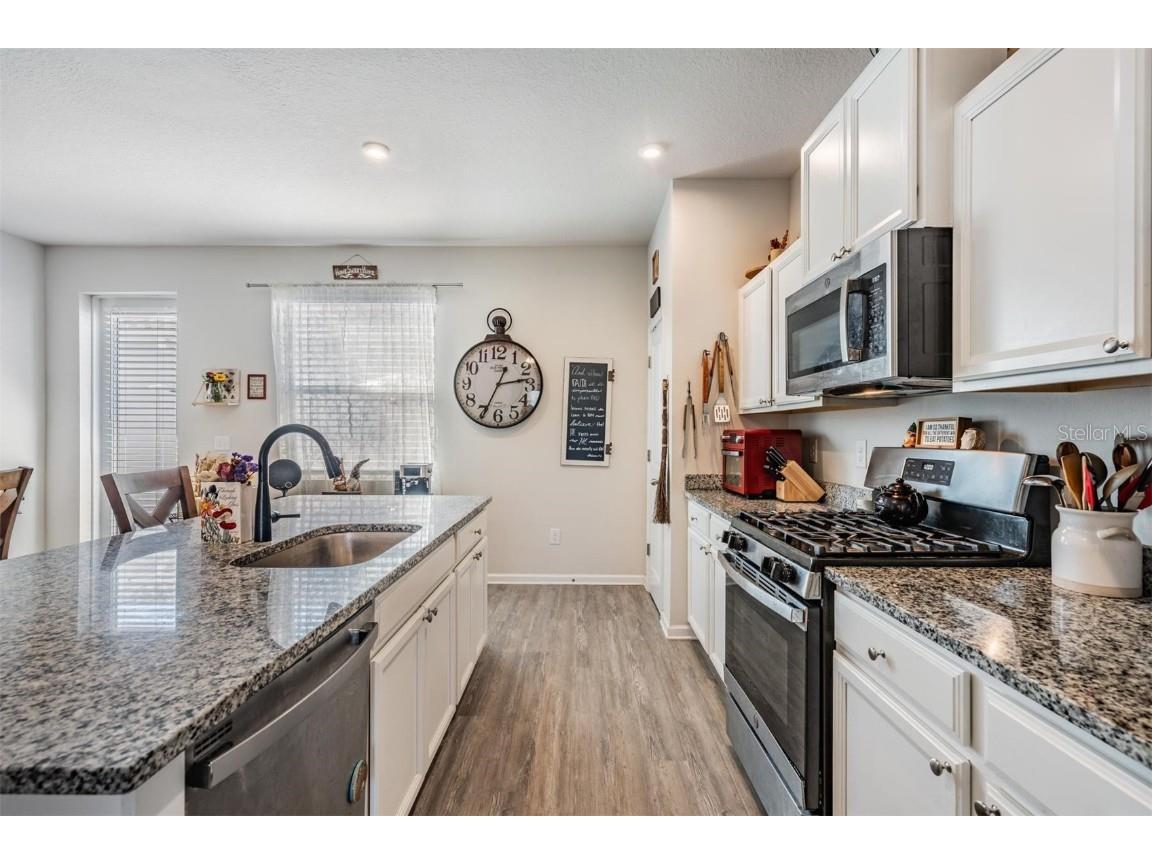 15068 Caravan Avenue Odessa FL 33556 W7880110 image8