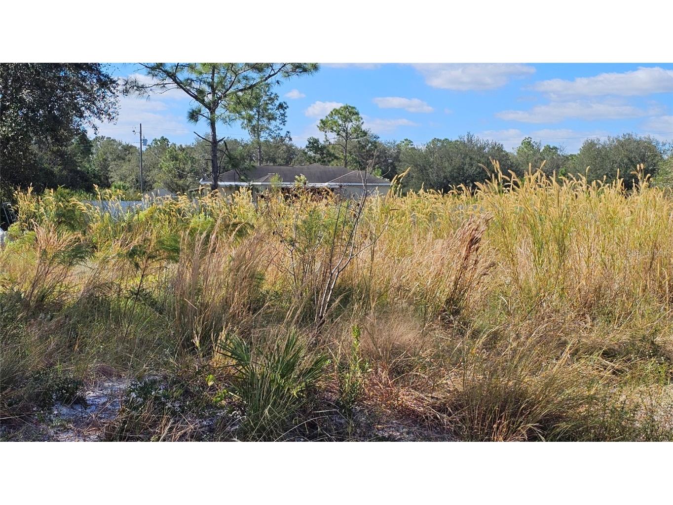 1507 5th Avenue Lehigh Acres FL 33972 A4626747 image1