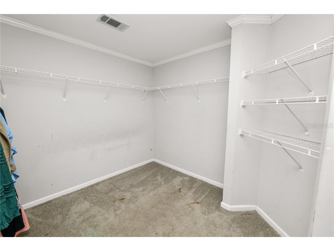 1507 Belmont Woods Drive Mulberry FL 33860 L4956888 image31