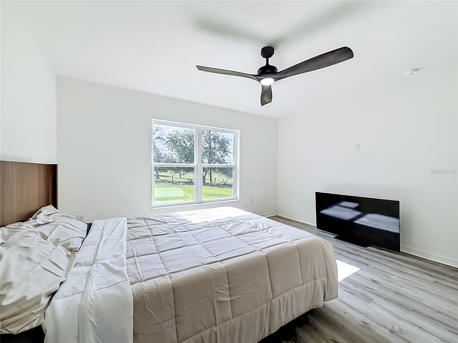 1507 Geranium Drive Mascotte FL 34753 O6403750 image28