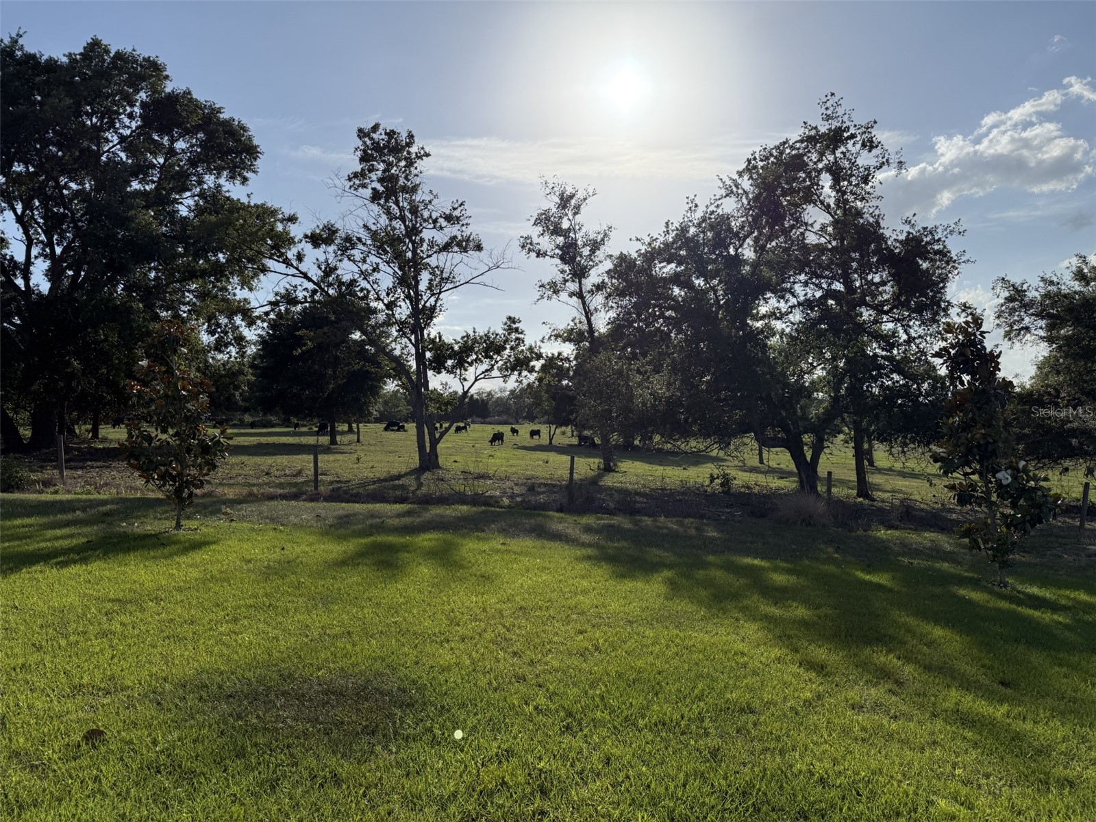 1507 Geranium Drive Mascotte FL 34753 O6403750 image42