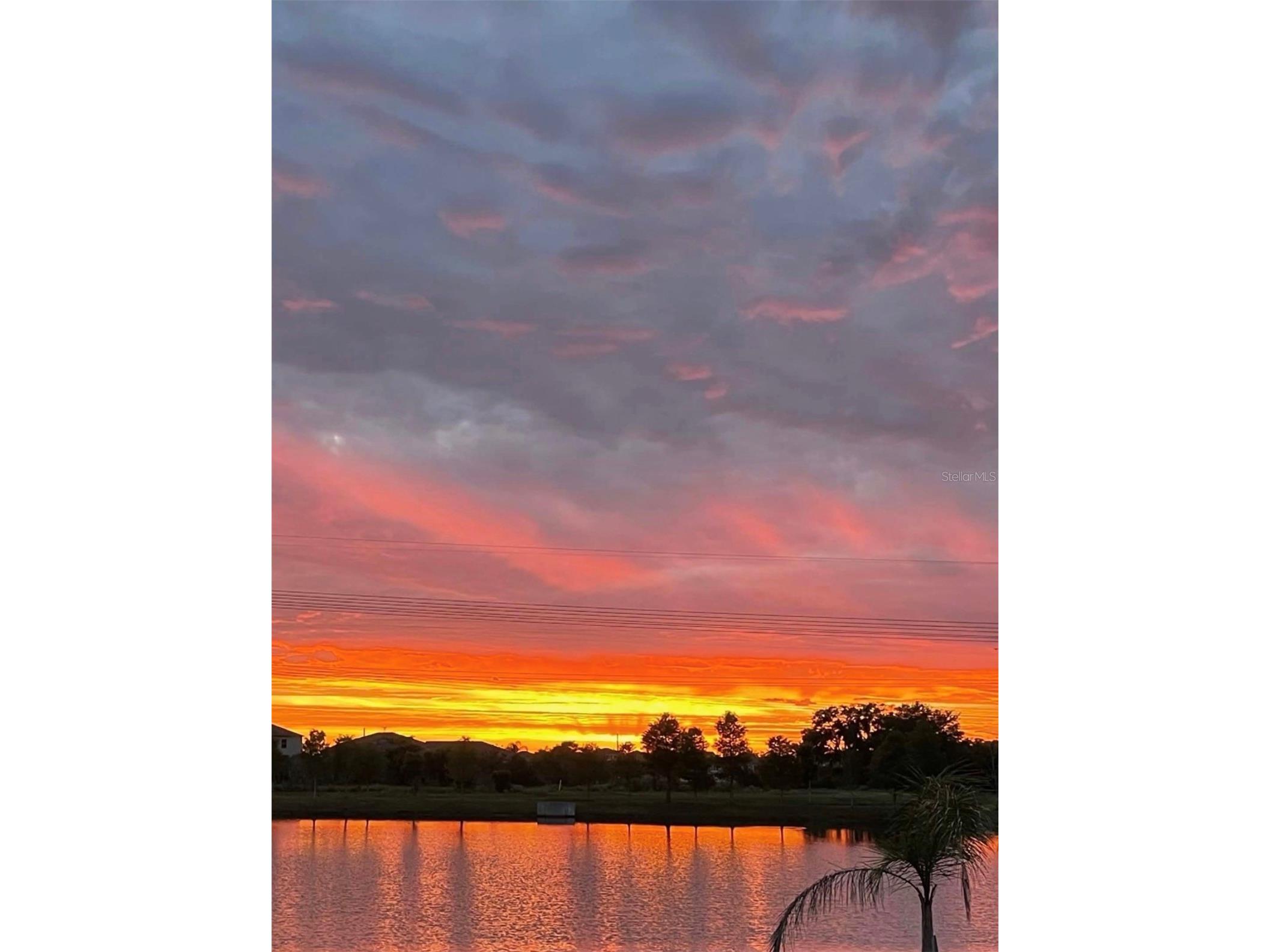 1507 Golden Glow Drive Ruskin FL 33570 TB8518790 image42