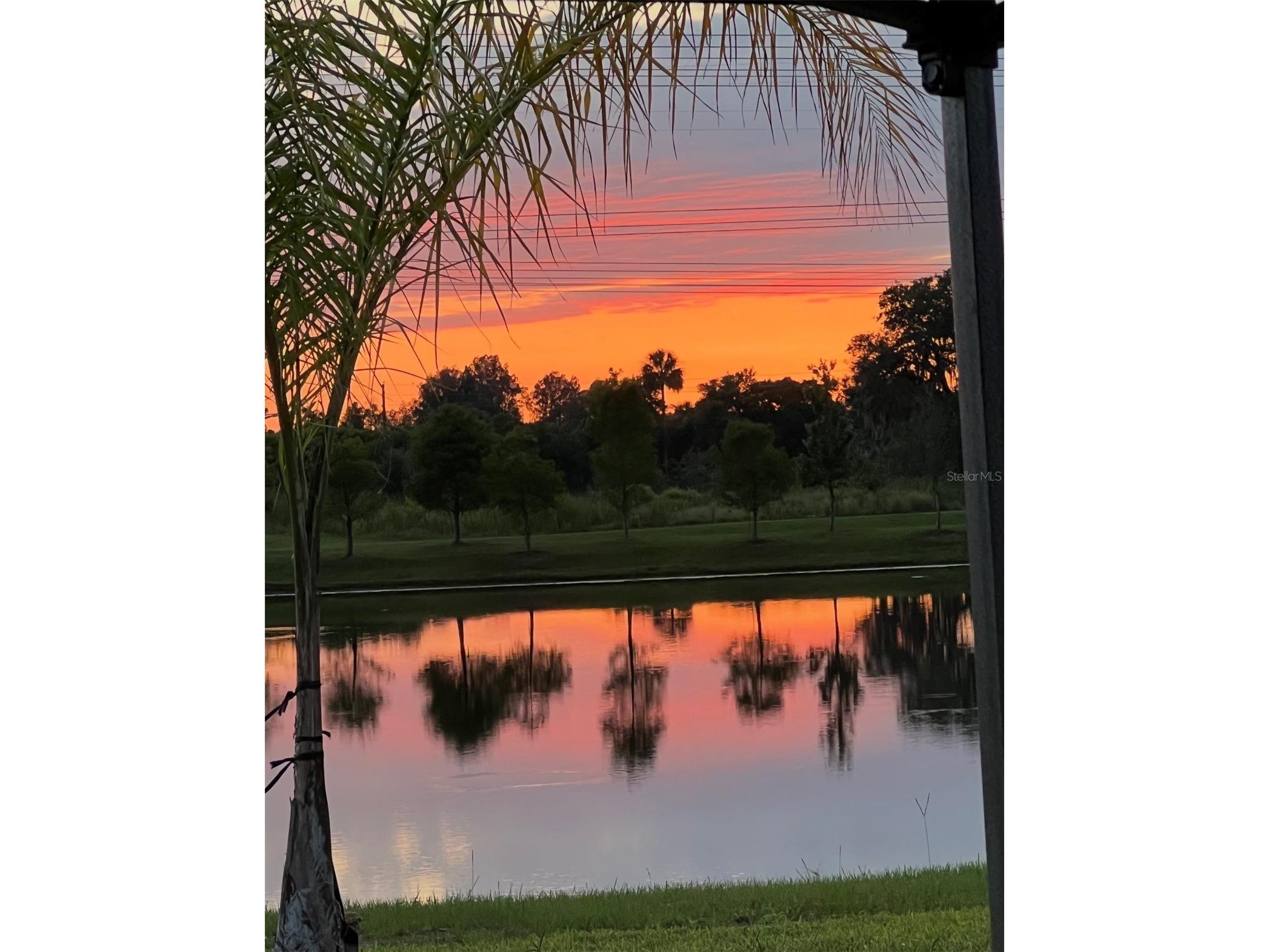 1507 Golden Glow Drive Ruskin FL 33570 TB8518790 image44