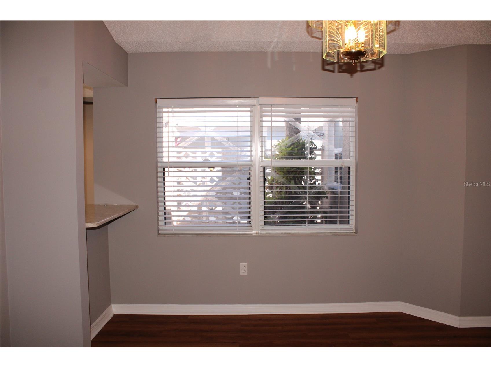 1507 Lantana Court Palmetto FL 34221 A4681892 image9