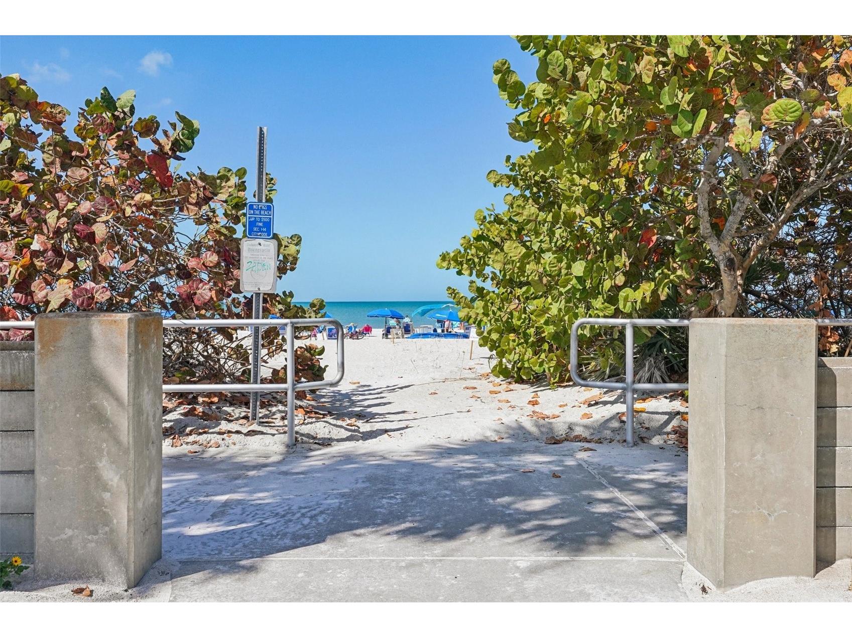 1507 Legion Lane Indian Rocks Beach FL 33785 TB8481251 image23