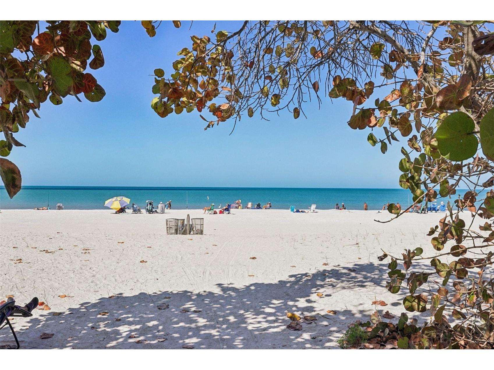 1507 Legion Lane Indian Rocks Beach FL 33785 TB8481251 image29