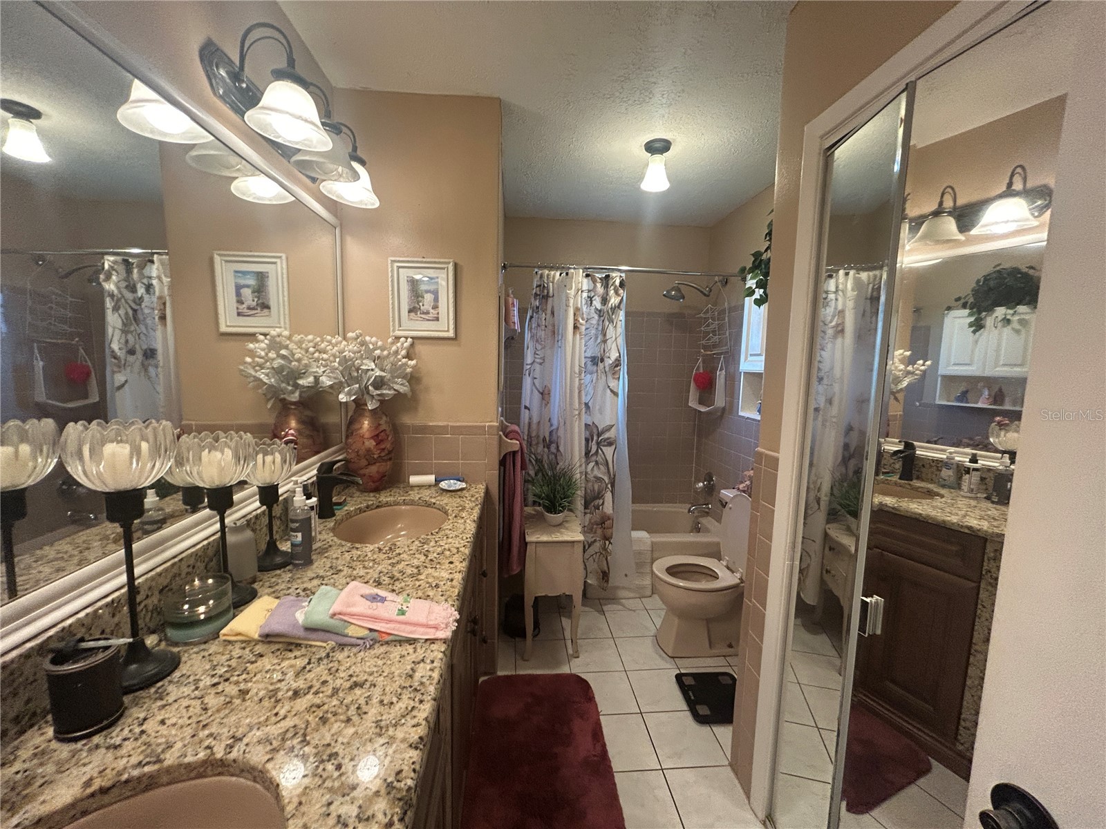 1507 Meadowridge Drive Valrico FL 33596 TB8500839 image12