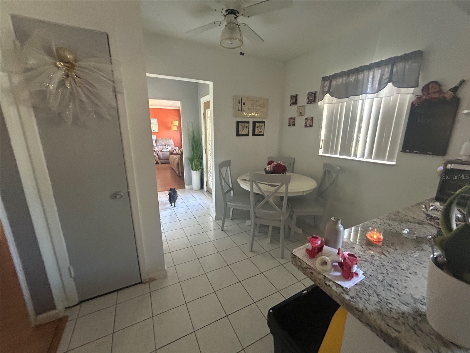 1507 Meadowridge Drive Valrico FL 33596 TB8500839 image6