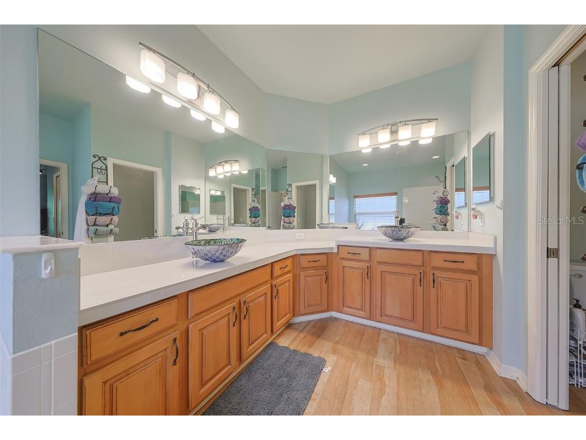 1507 Mira Lago Circle Ruskin FL 33570 TB8439678 image31