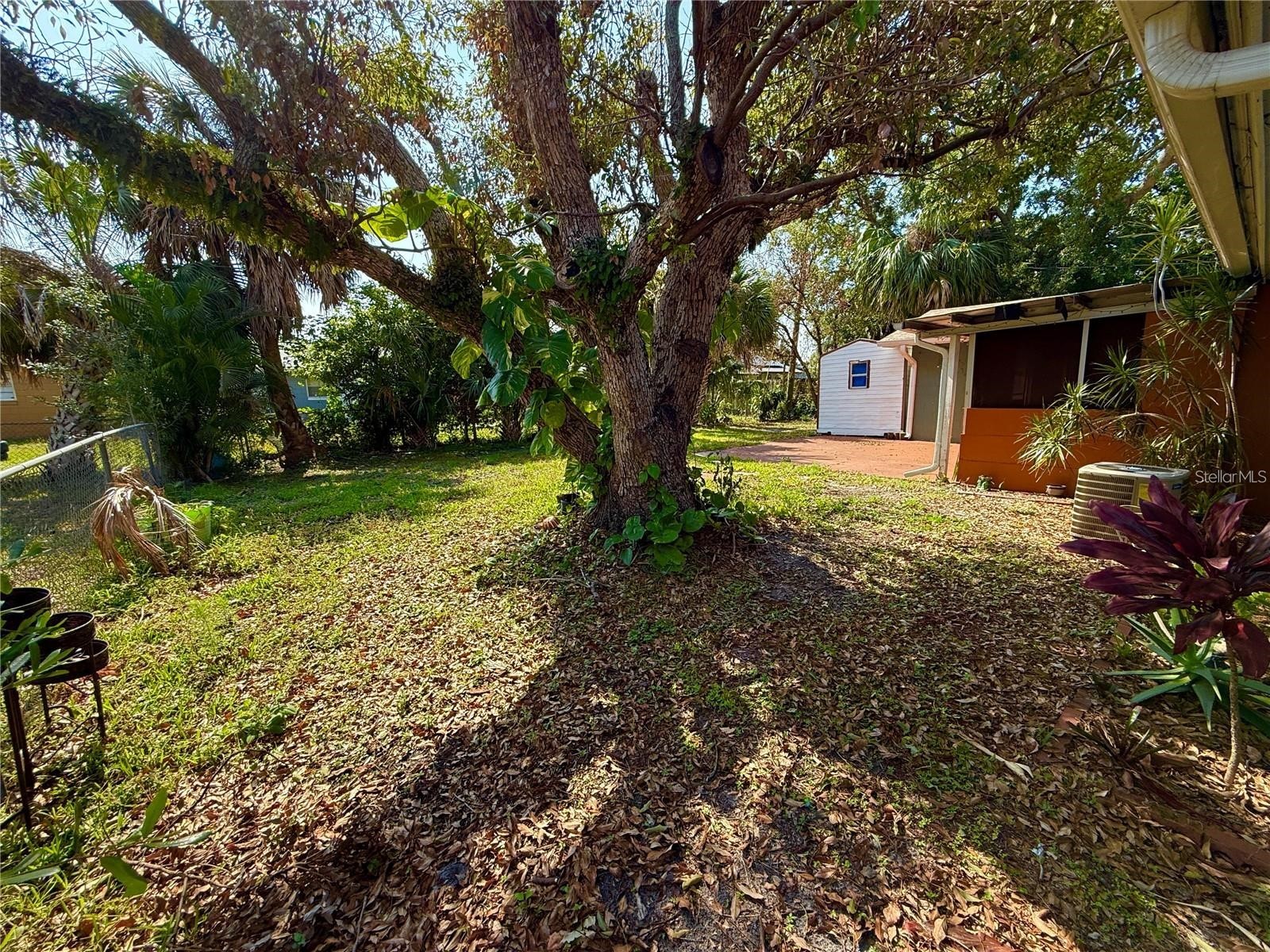 1507 N Thacker Avenue Kissimmee FL 34741 S5153037 image34