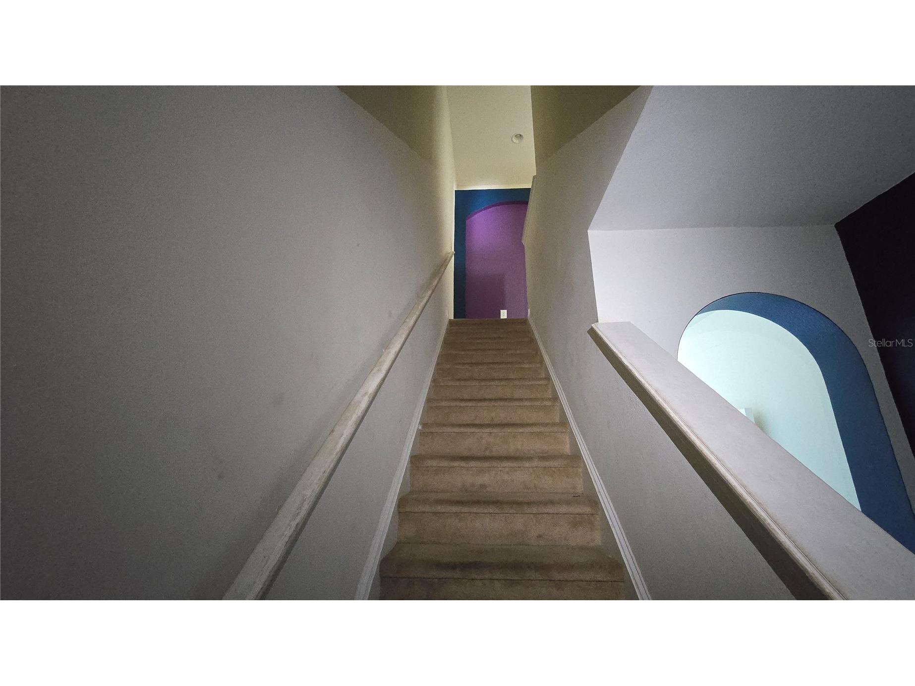 1507 Talisker Drive Clearwater FL 33755 TB8494862 image13