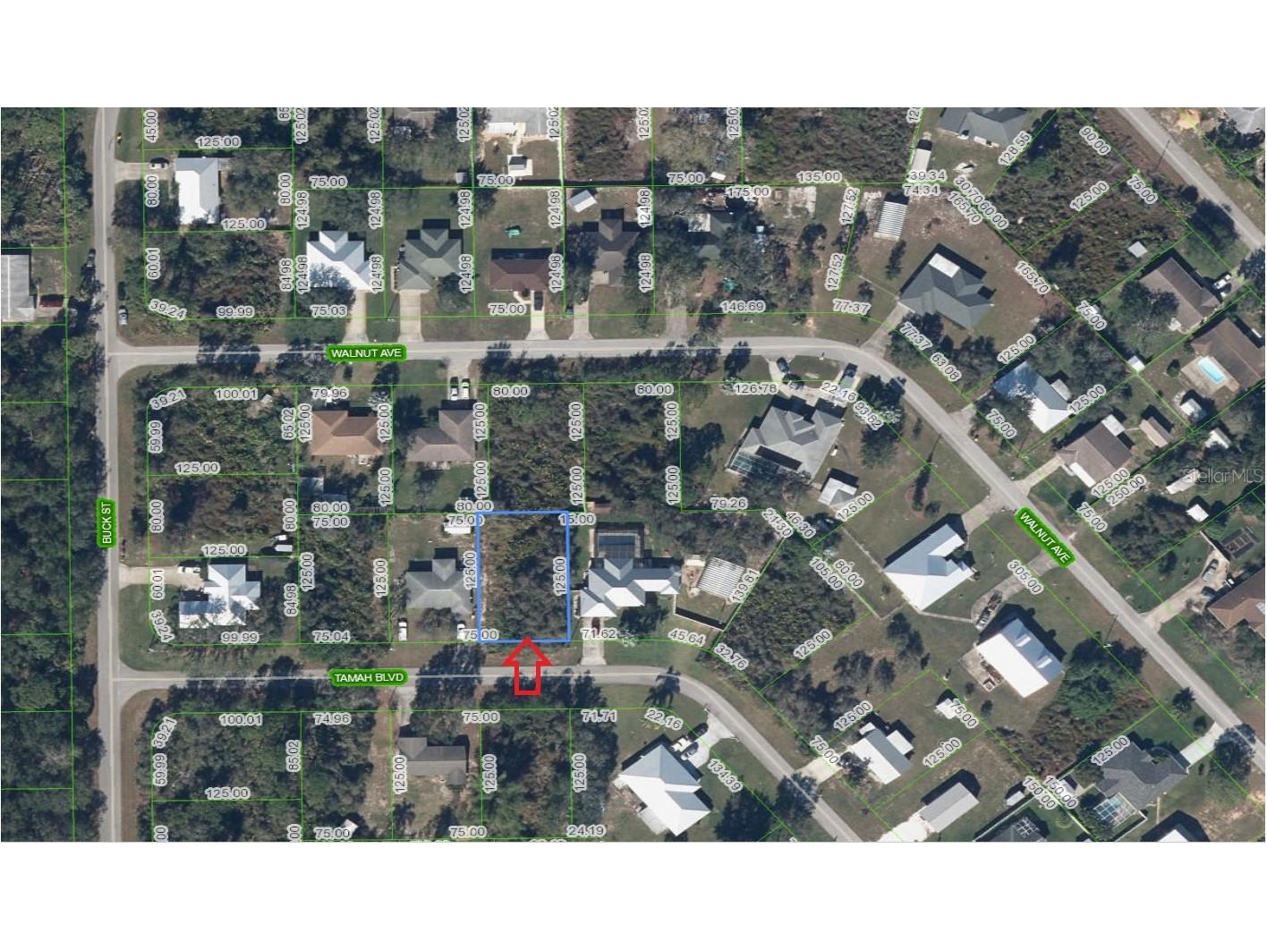 1507 Tamah Boulevard Lake Placid FL 33852 A4689149 image1