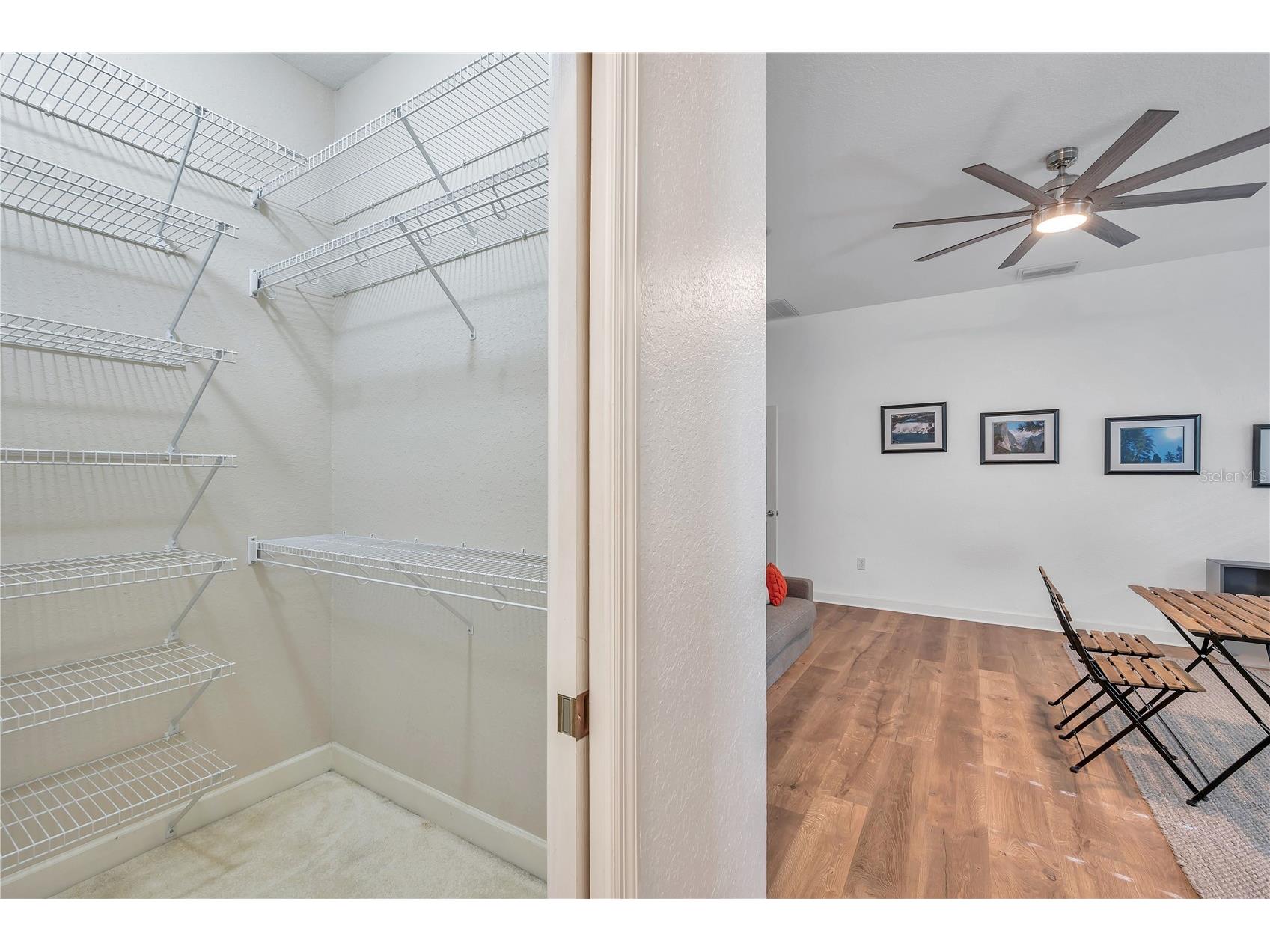 1507 W Windhorst Road Brandon FL 33510 TB8507006 image37
