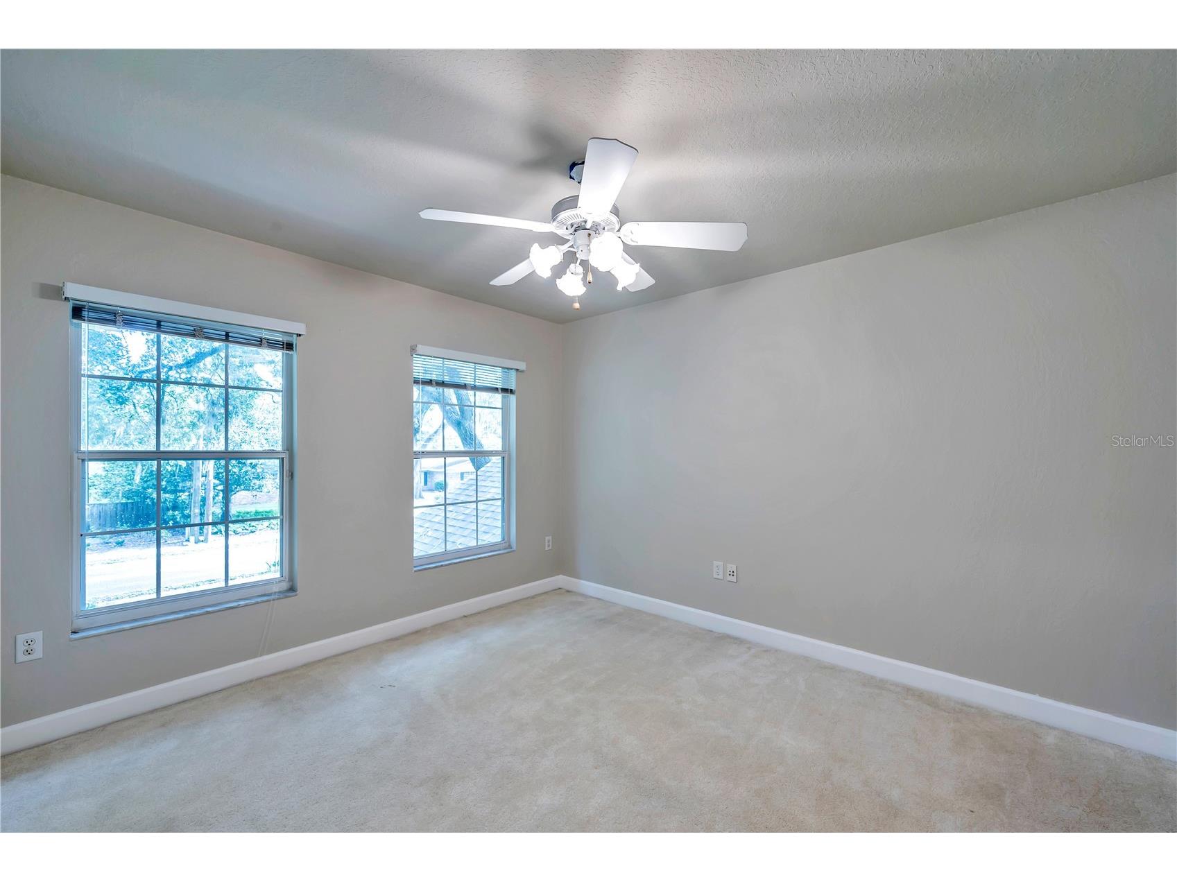 1507 W Windhorst Road Brandon FL 33510 TB8507006 image49