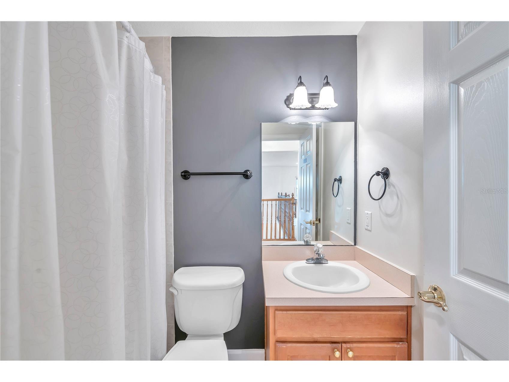 1507 W Windhorst Road Brandon FL 33510 TB8507006 image51