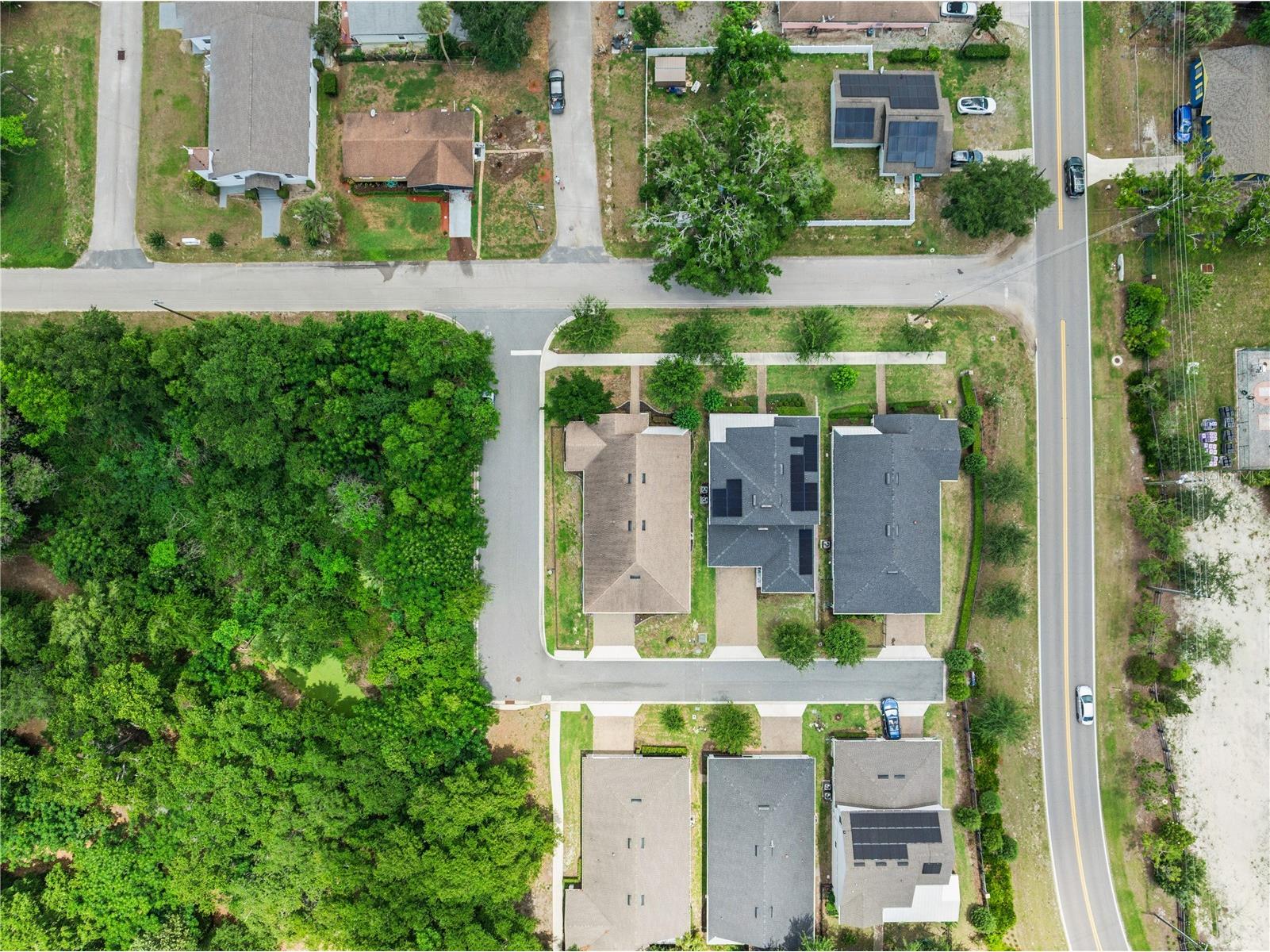 1507 Wild Sweetgrass Way Oakland FL 34787 O6409105 image48