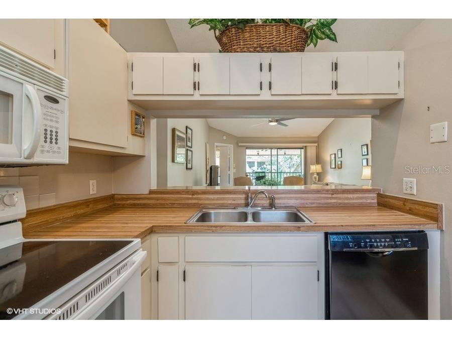 15075 Parkside Drive #201 Fort Myers FL 33908 A4649588 image10