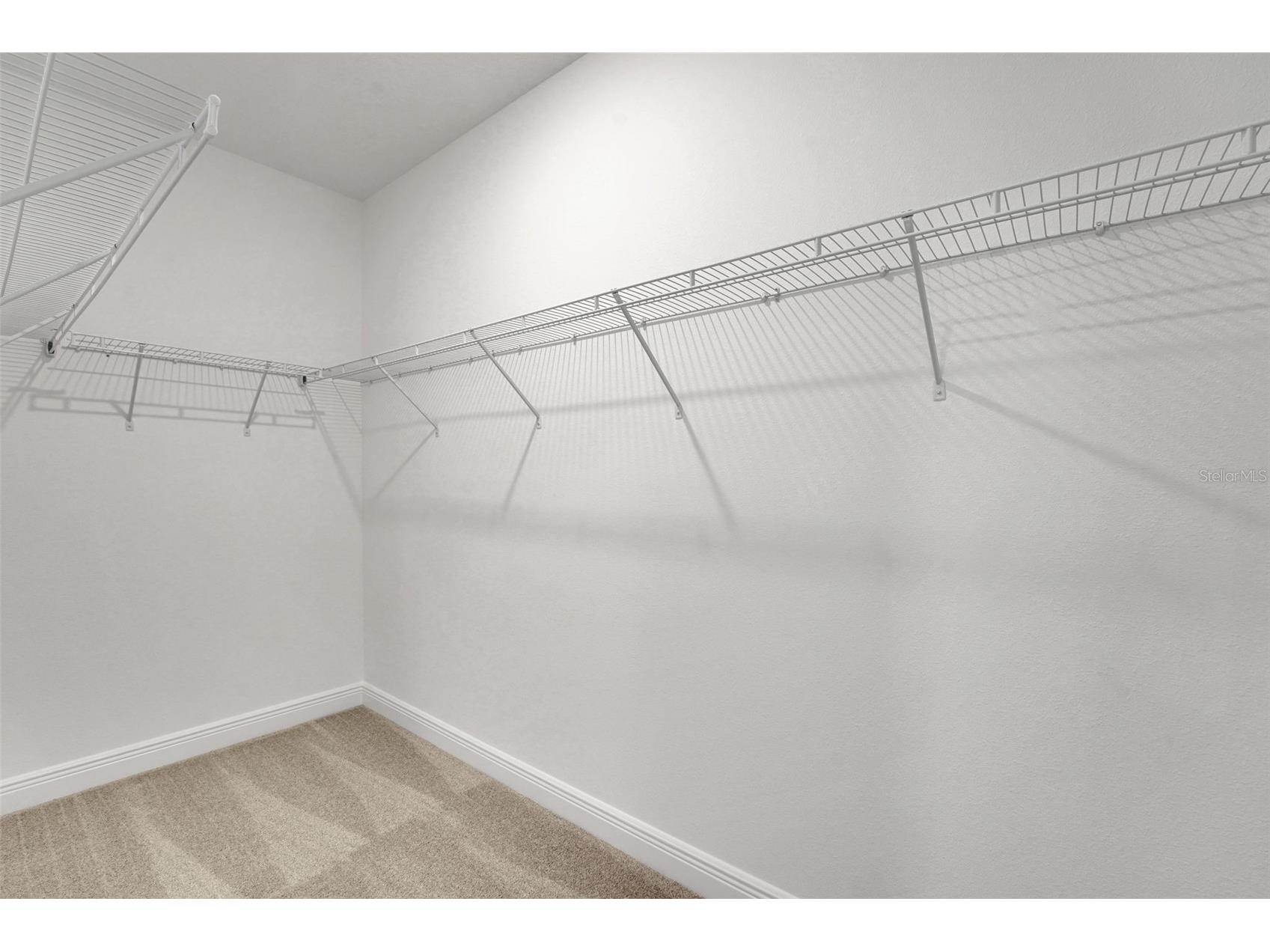 15075 Tea Tree Drive Winter Garden FL 34787 G5102184 image30