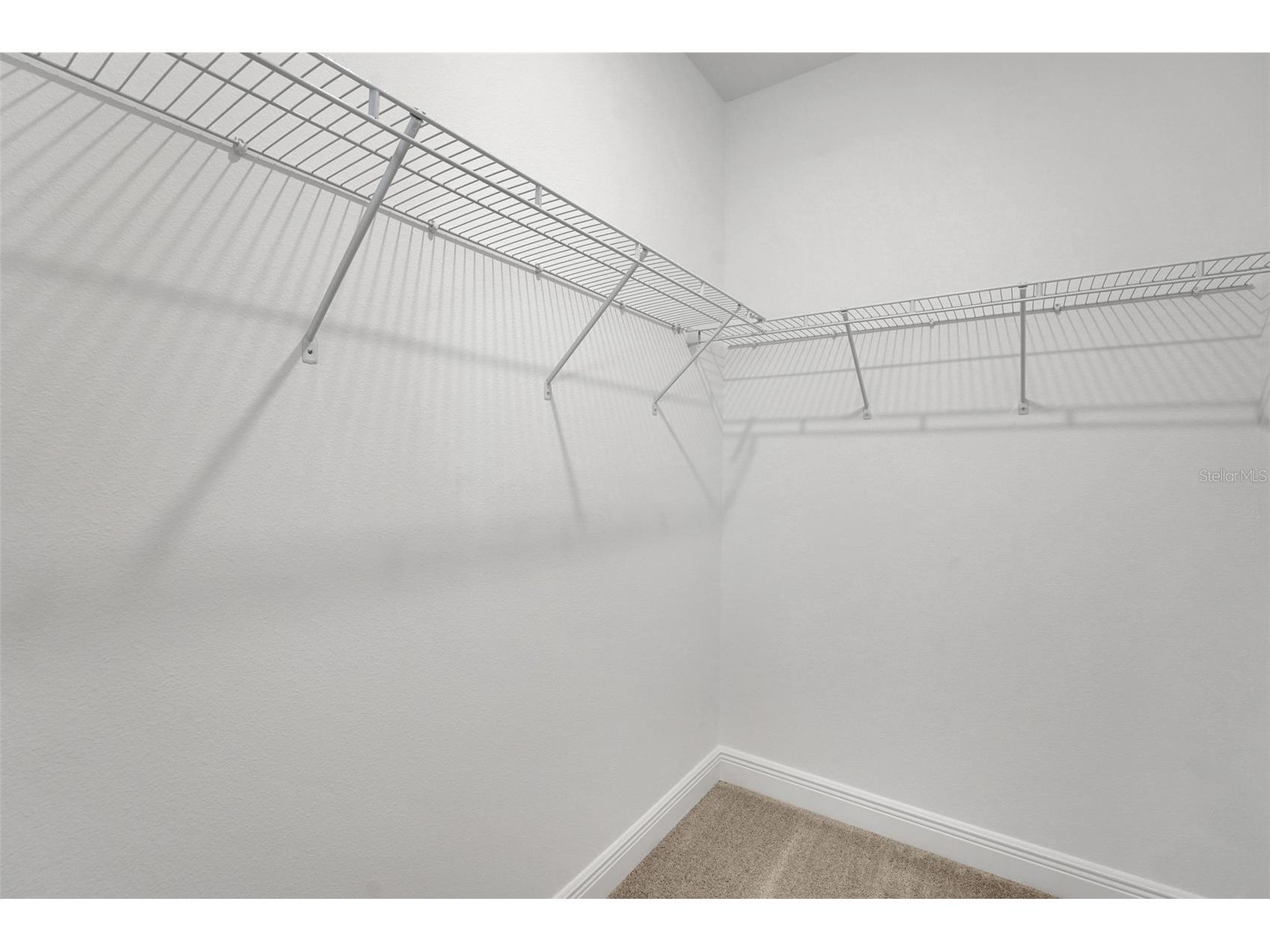 15075 Tea Tree Drive Winter Garden FL 34787 G5102184 image33