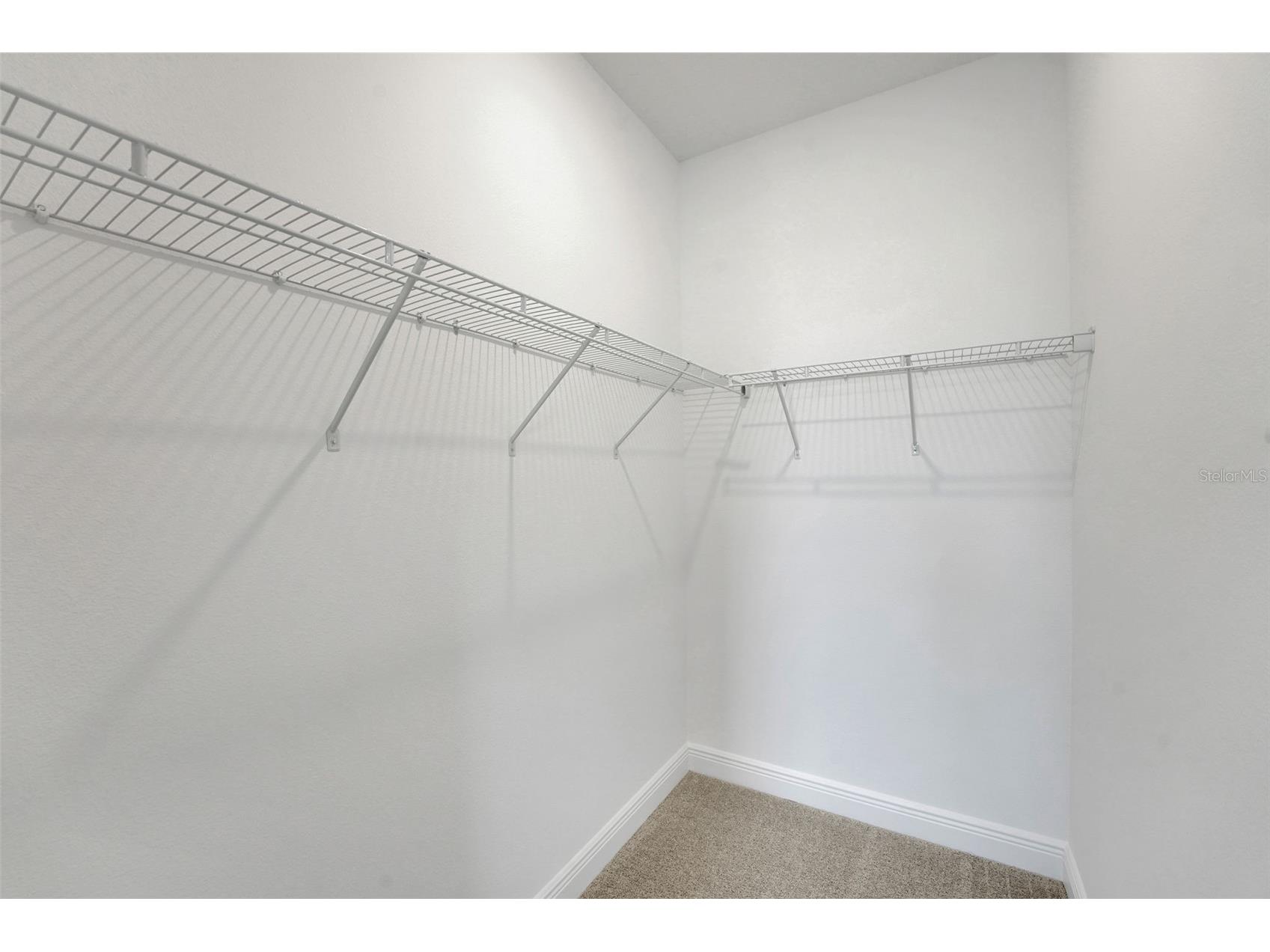 15075 Tea Tree Drive Winter Garden FL 34787 G5102184 image9