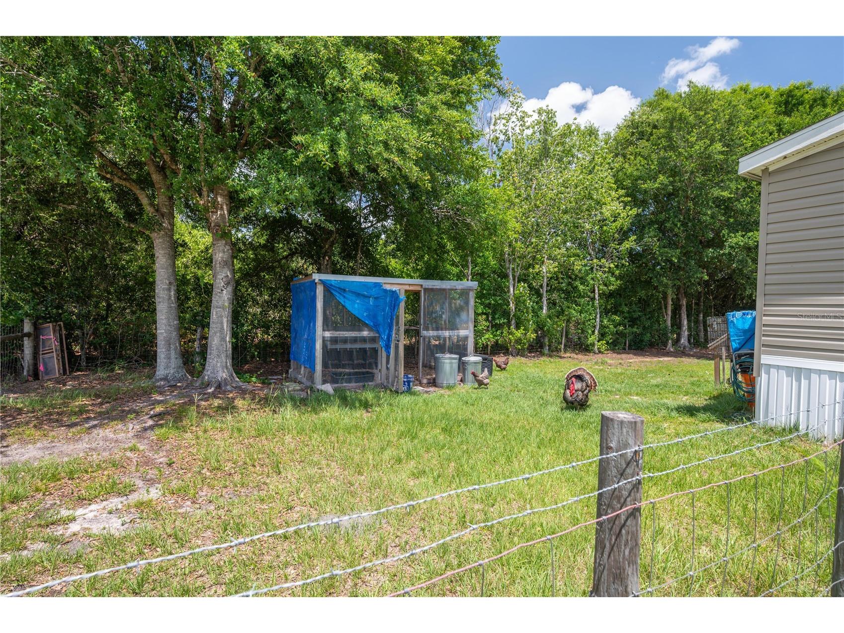 15079 Brahma Road Polk City FL 33868 P4938808 image12