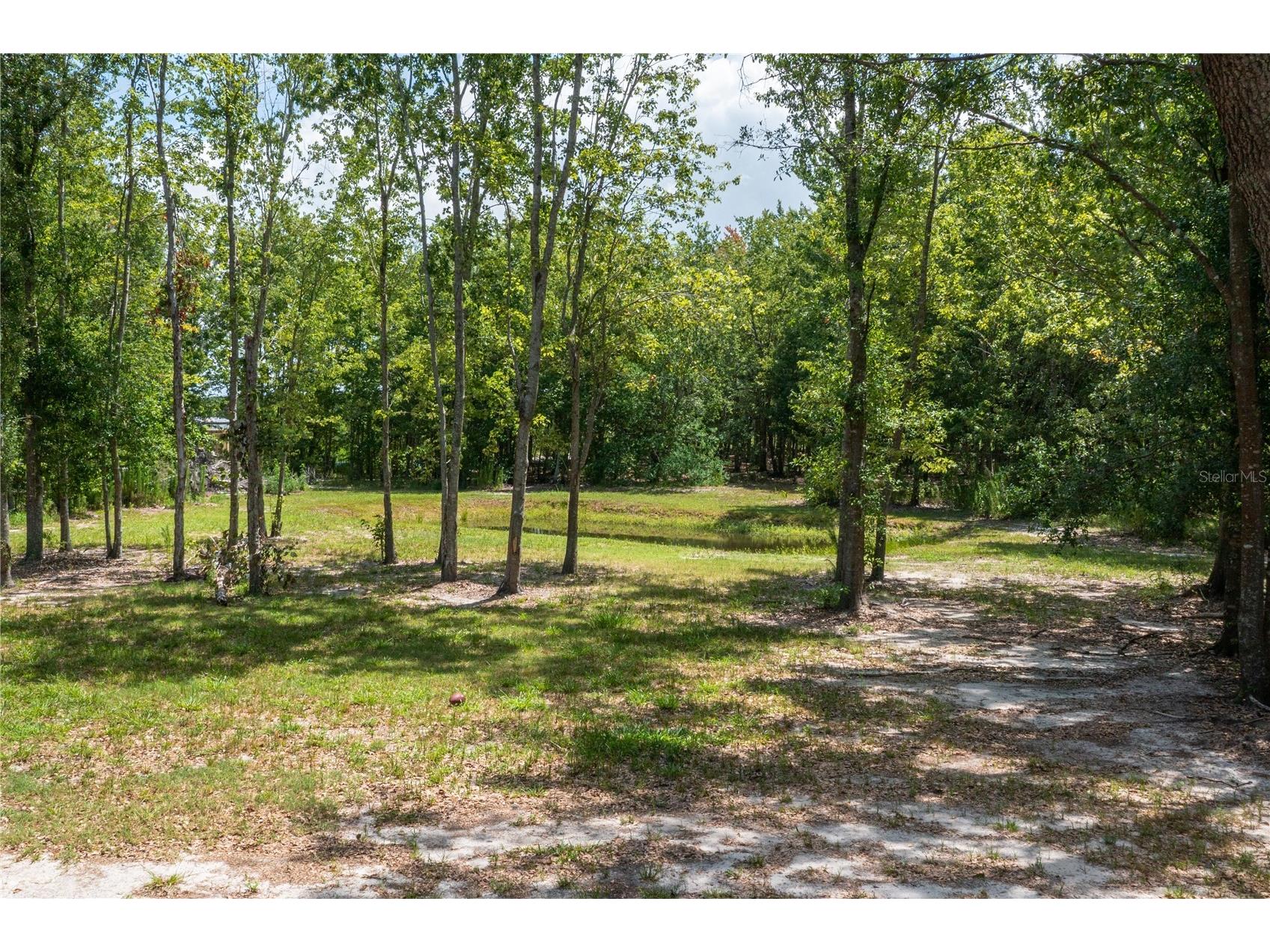 15079 Brahma Road Polk City FL 33868 P4938808 image34