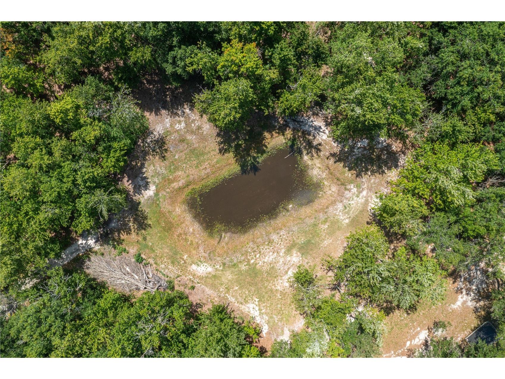 15079 Brahma Road Polk City FL 33868 P4938808 image35