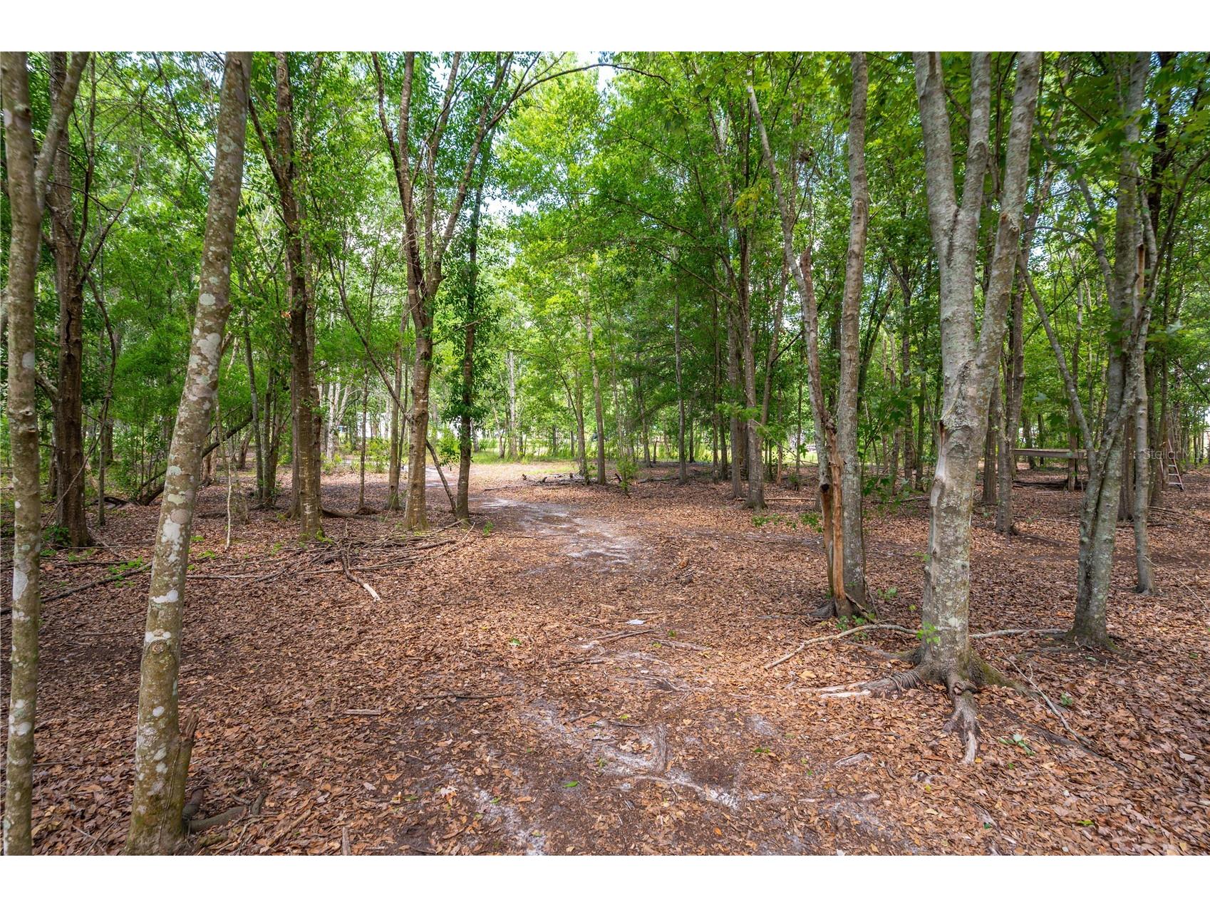 15079 Brahma Road Polk City FL 33868 P4938808 image38