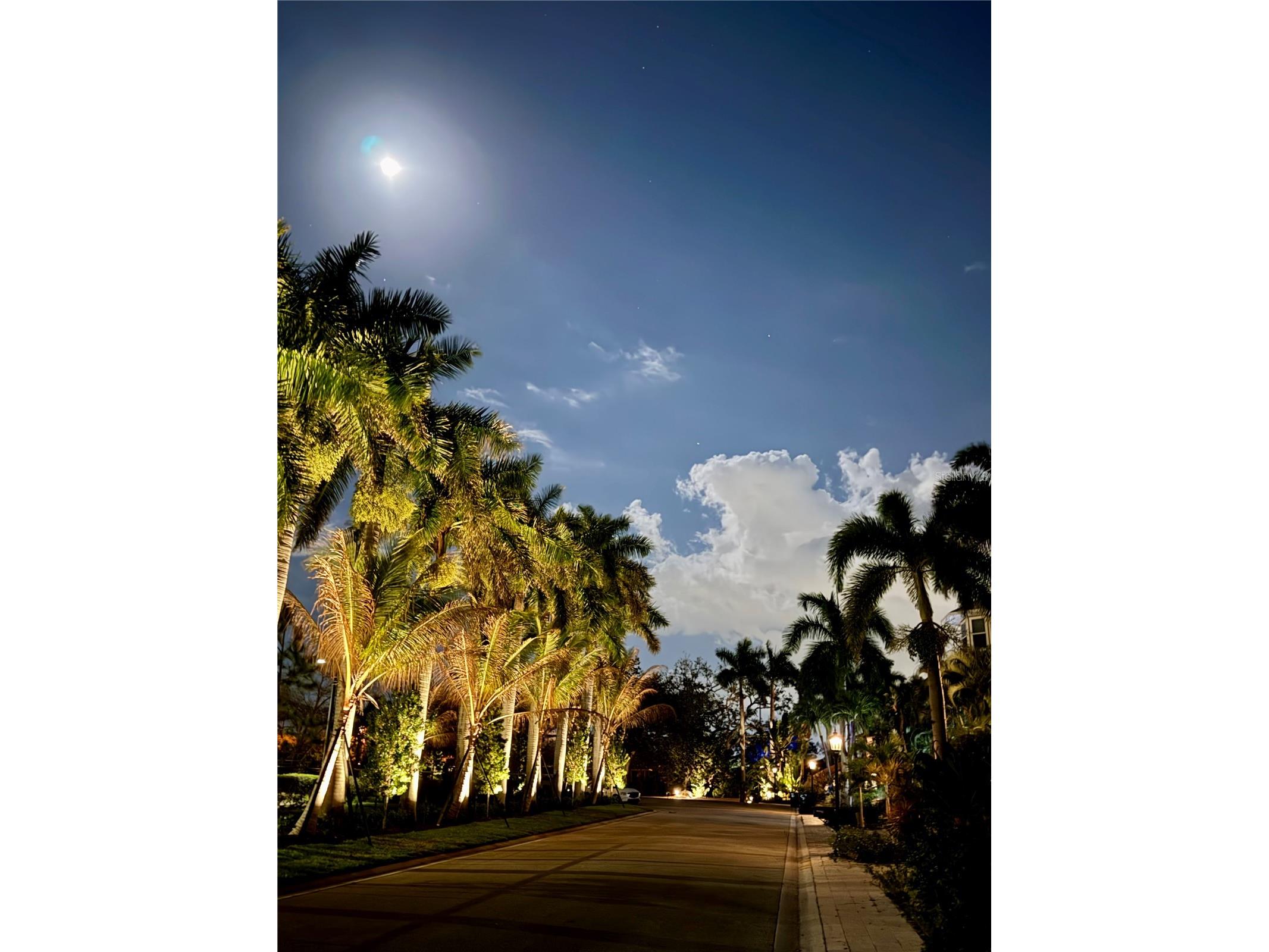 1508 Bowlees Cove Bradenton FL 34207 - CRYSTAL CANAL A4684916 image66
