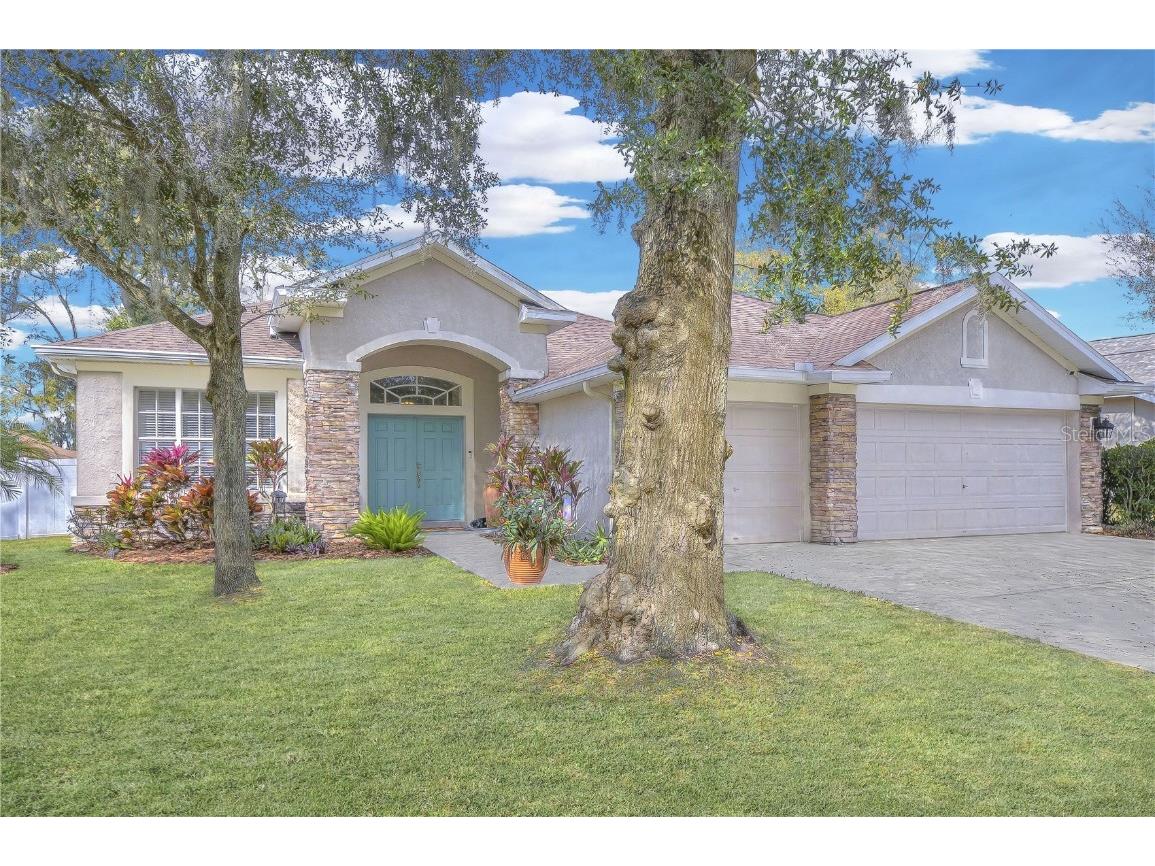 1508 Brilliant Cut Way Valrico FL 33594 T3504576 image1