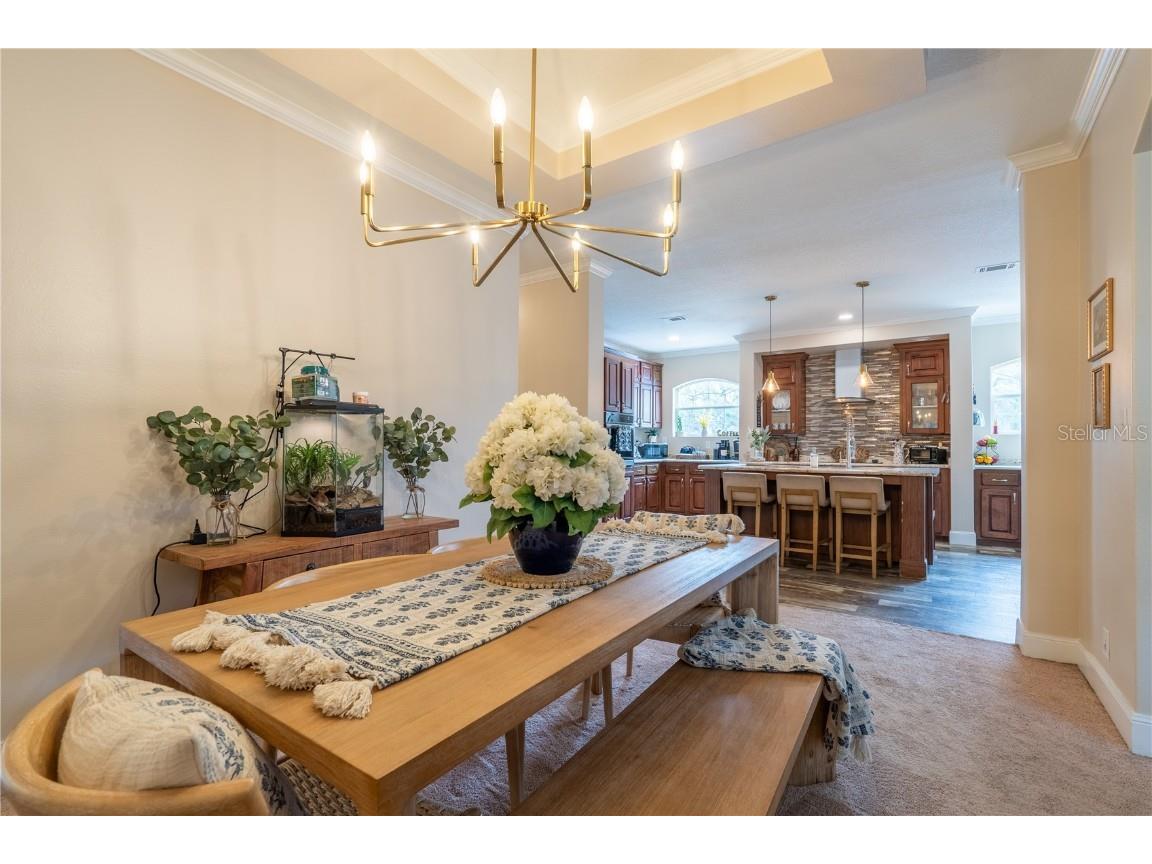 1508 E Winnetka Street Hernando FL 34442 OM702942 image8